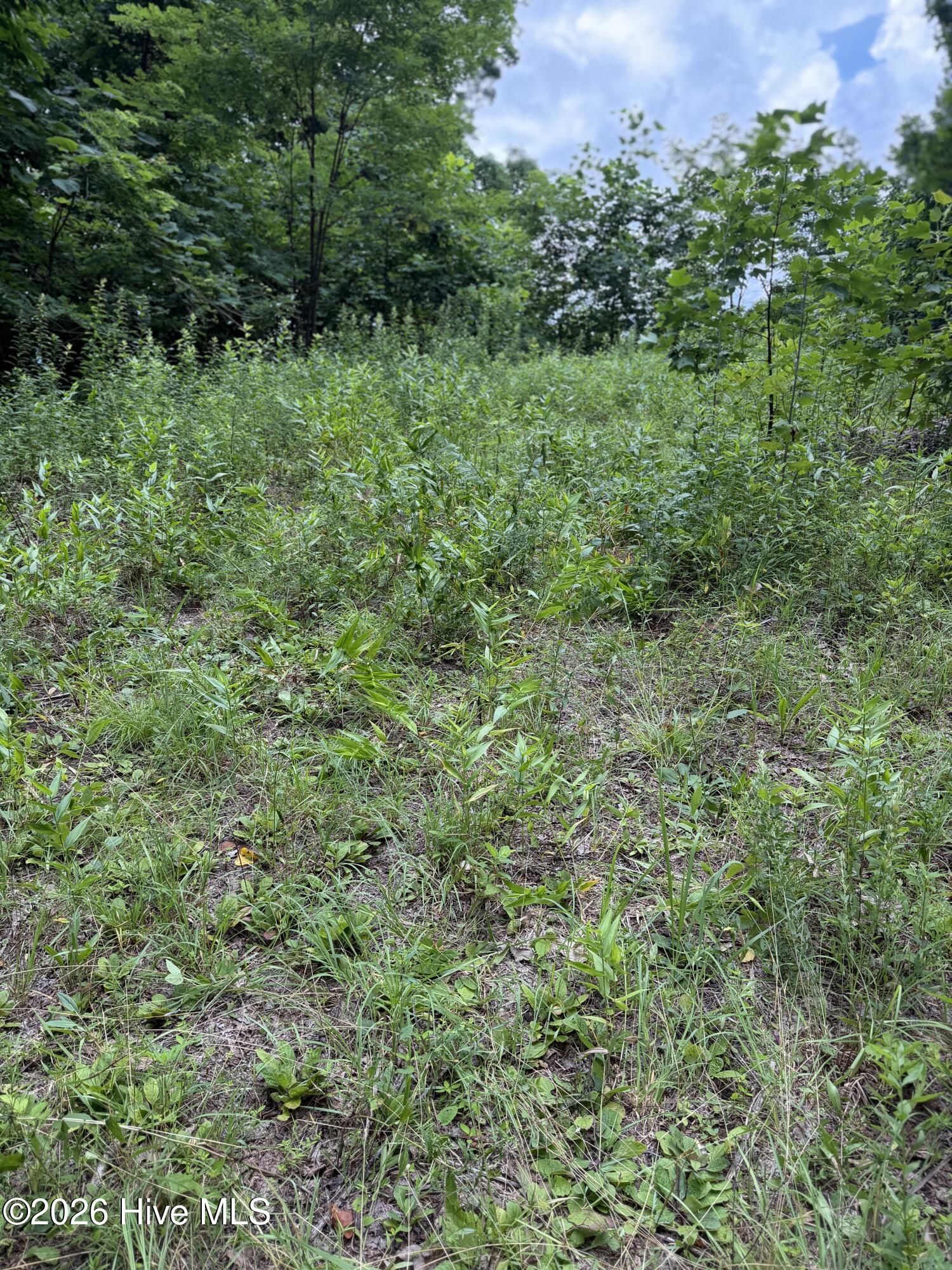 Lot 2 Outlook Road Property Photo 6