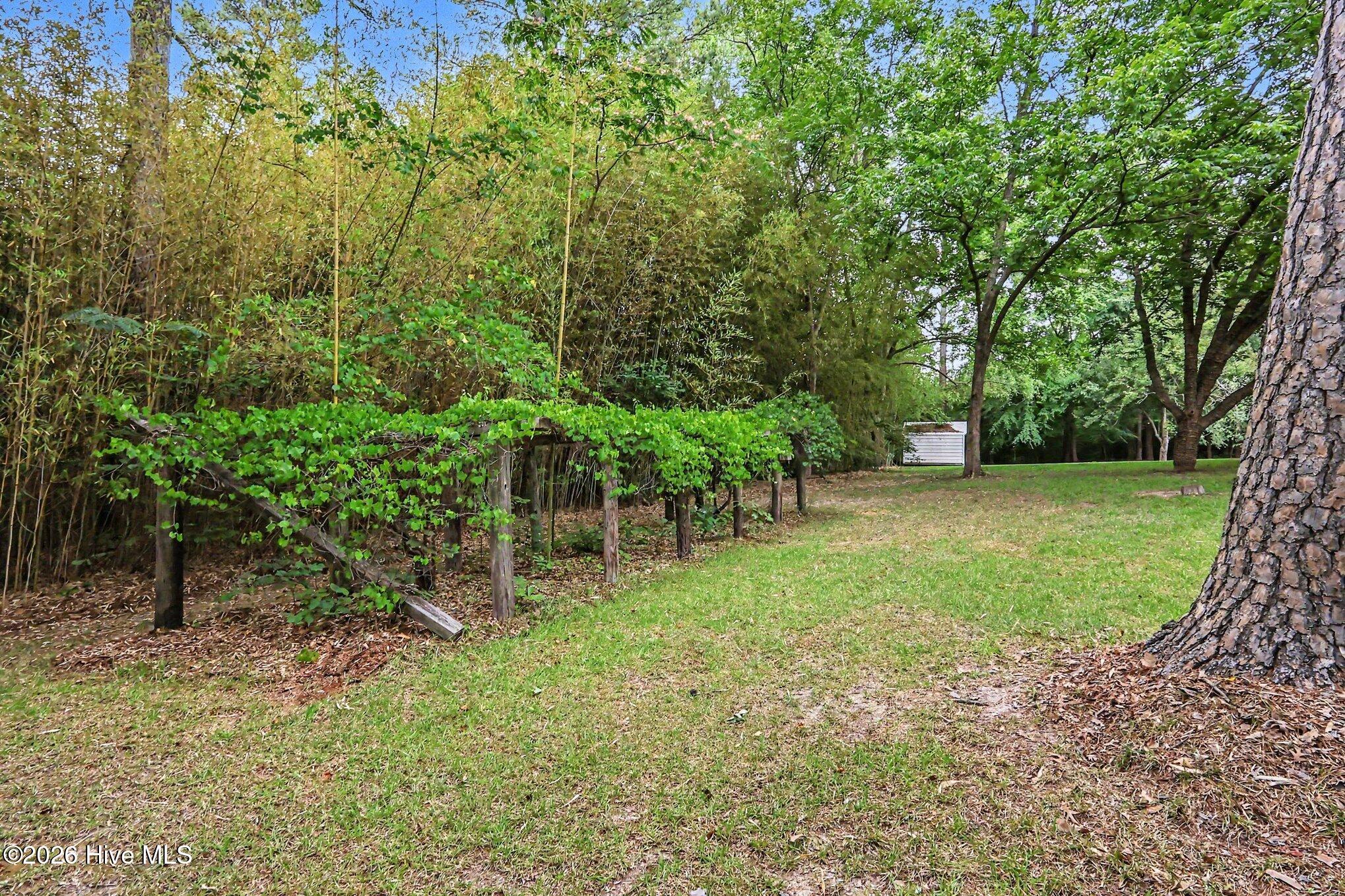 2555 Nutbush Road Property Photo 26