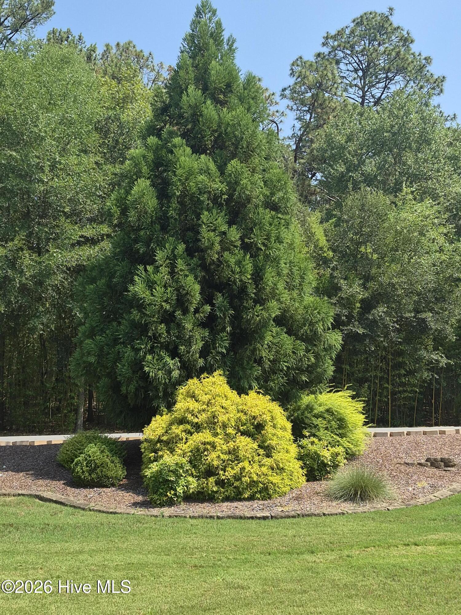 7 Bobolink Road Property Photo 21