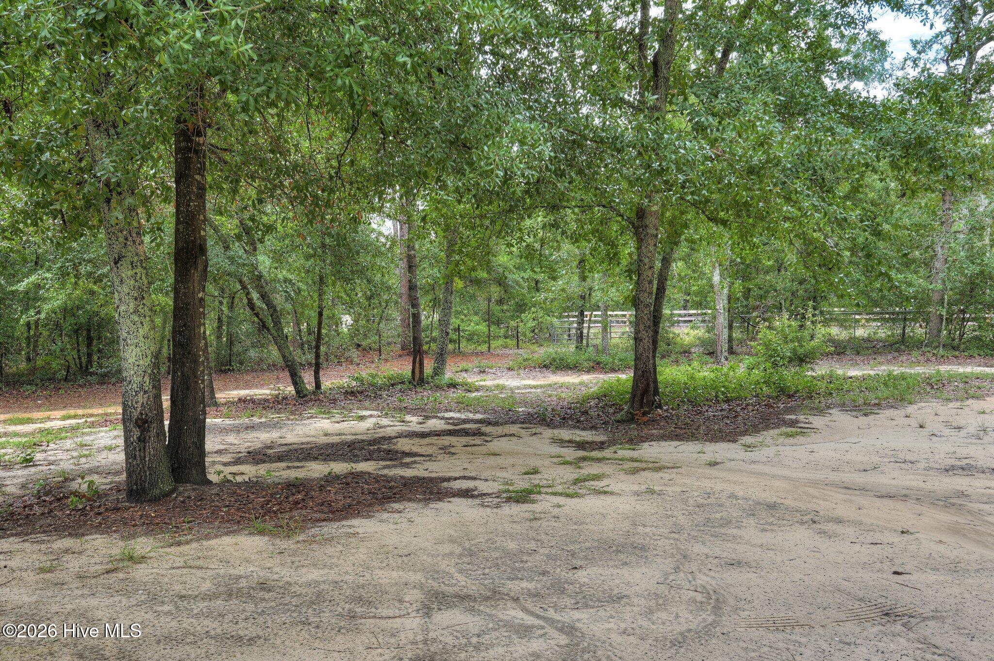 203 Keys Lane Property Photo 18