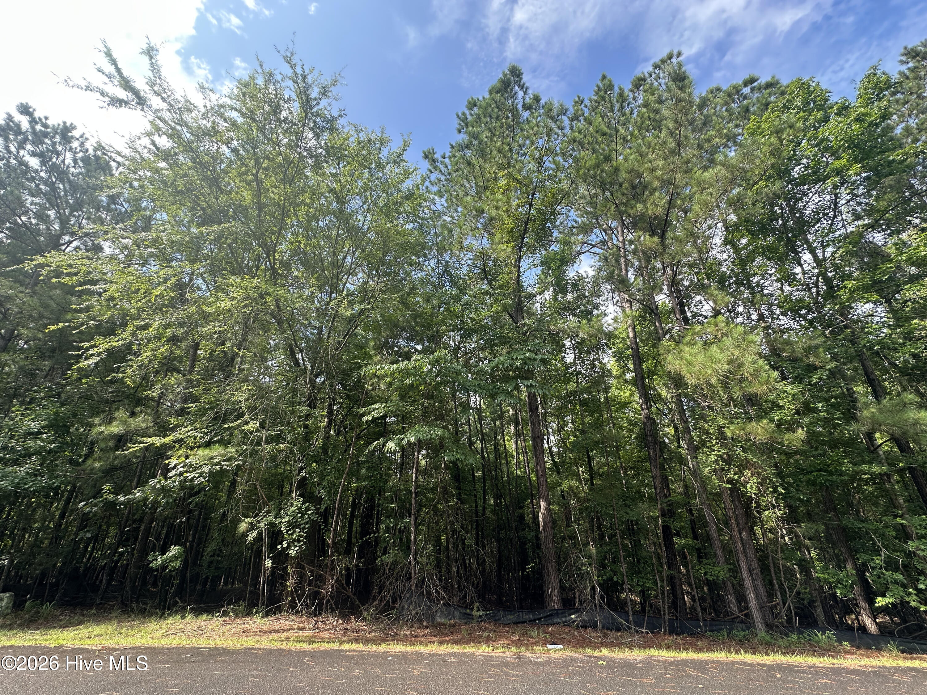 B15 L26 Blair Lane Property Photo 1