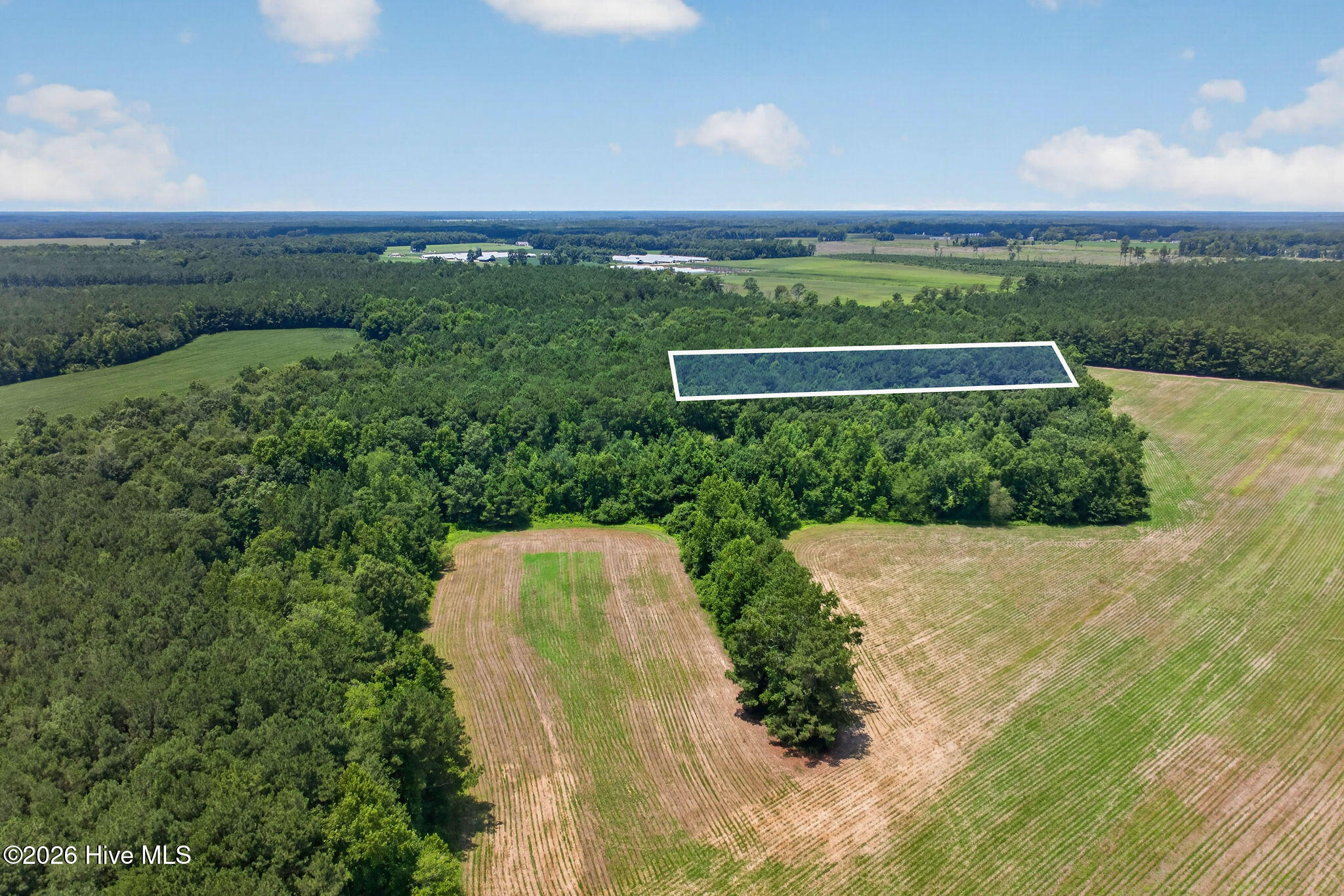 1 Acre Off 2 Laura Hill Drive Property Photo 4