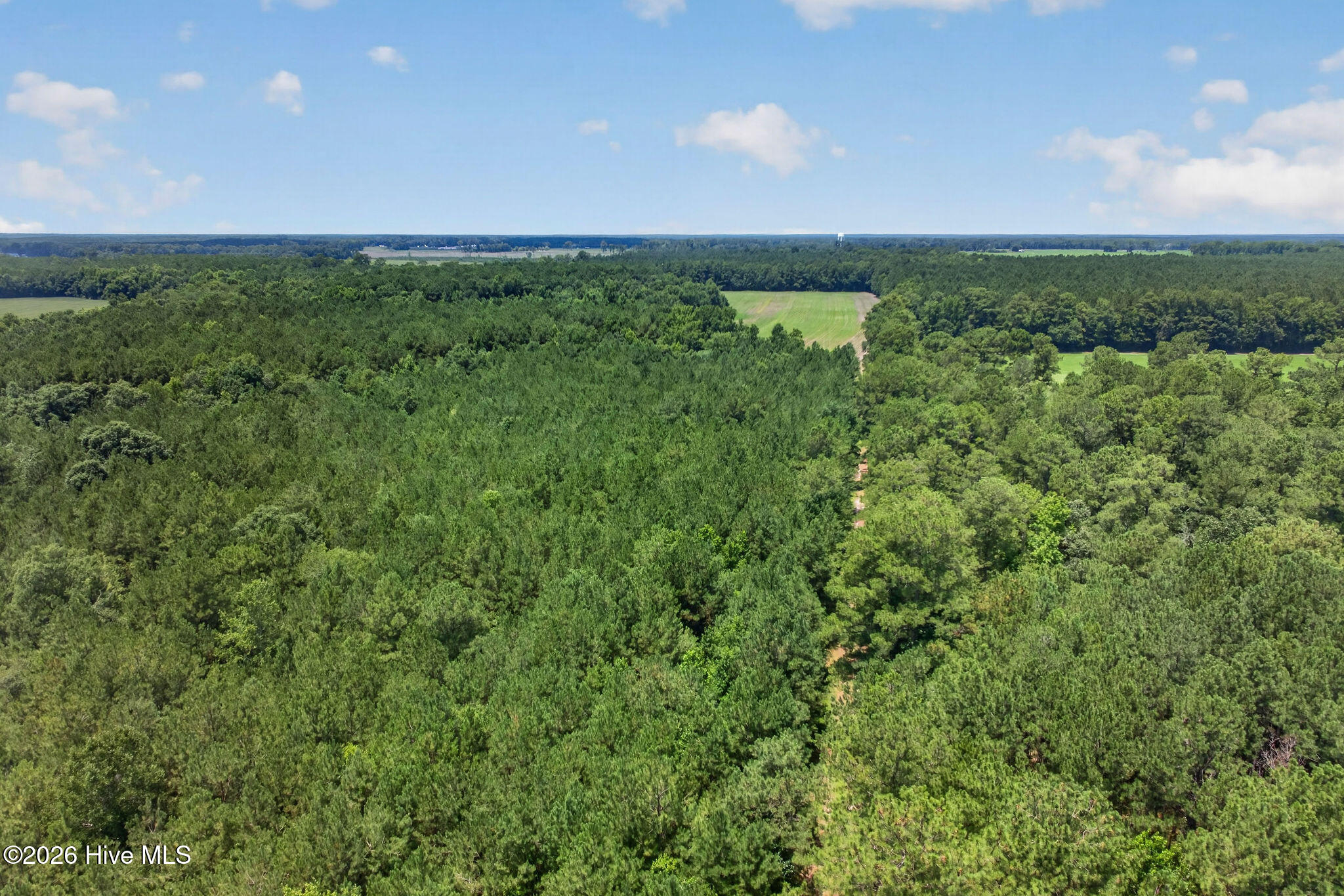 1 Acre Off 2 Laura Hill Drive Property Photo 5