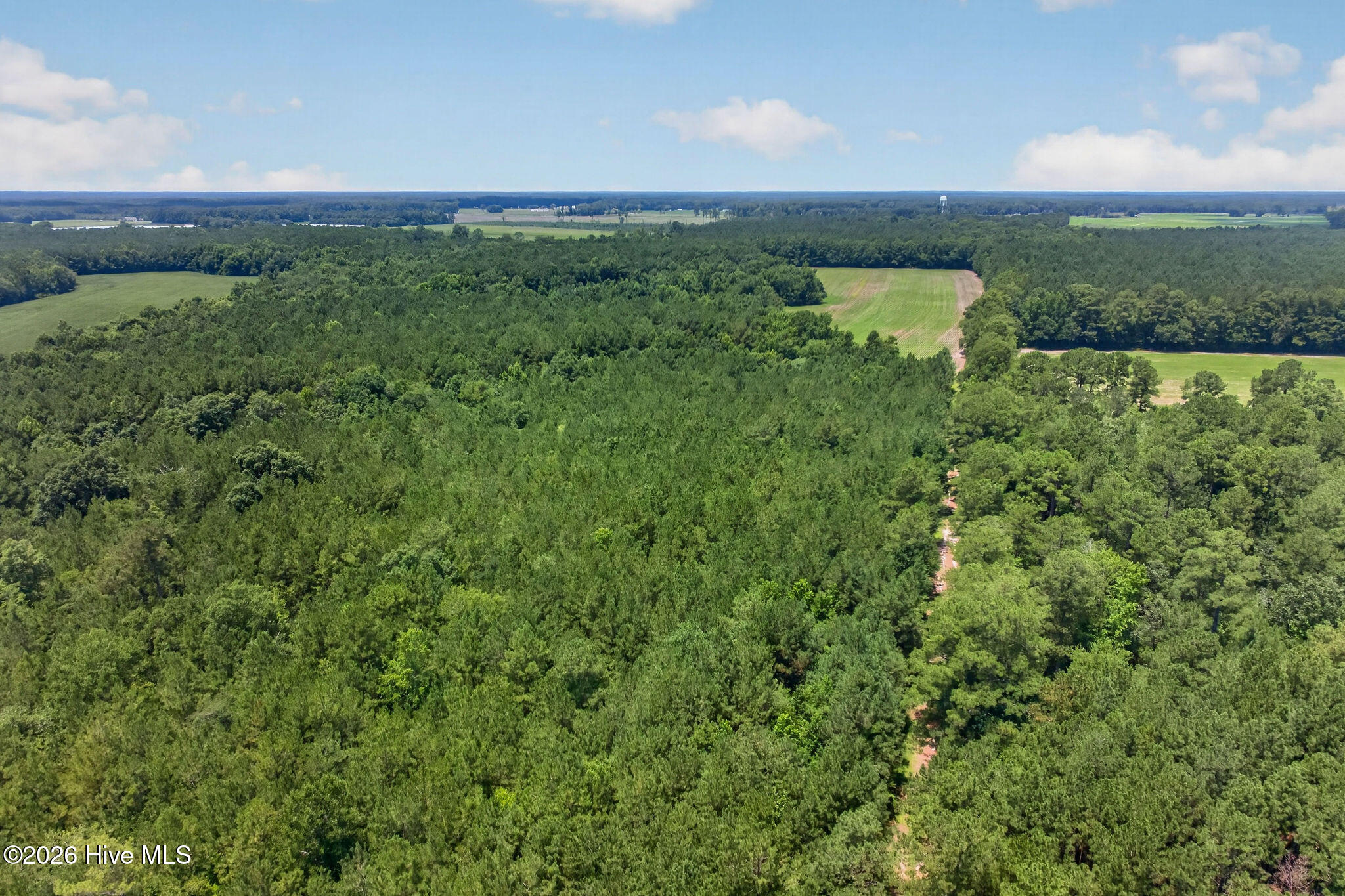 1 Acre Off 2 Laura Hill Drive Property Photo 10