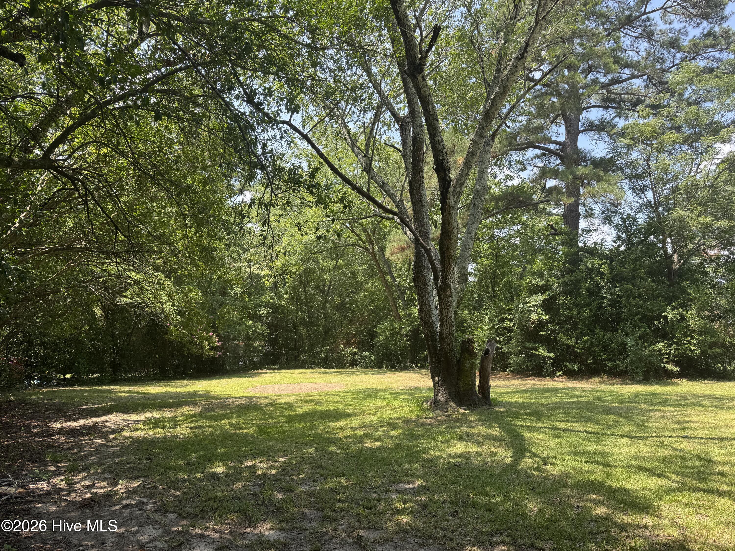 1114 Oak Avenue Property Photo 3