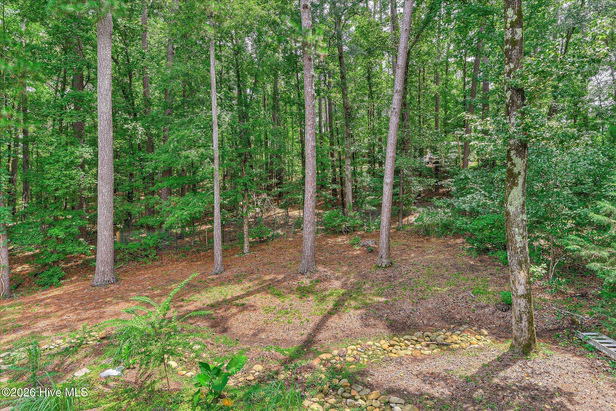 110 Hunting Tower Drive Property Photo 31