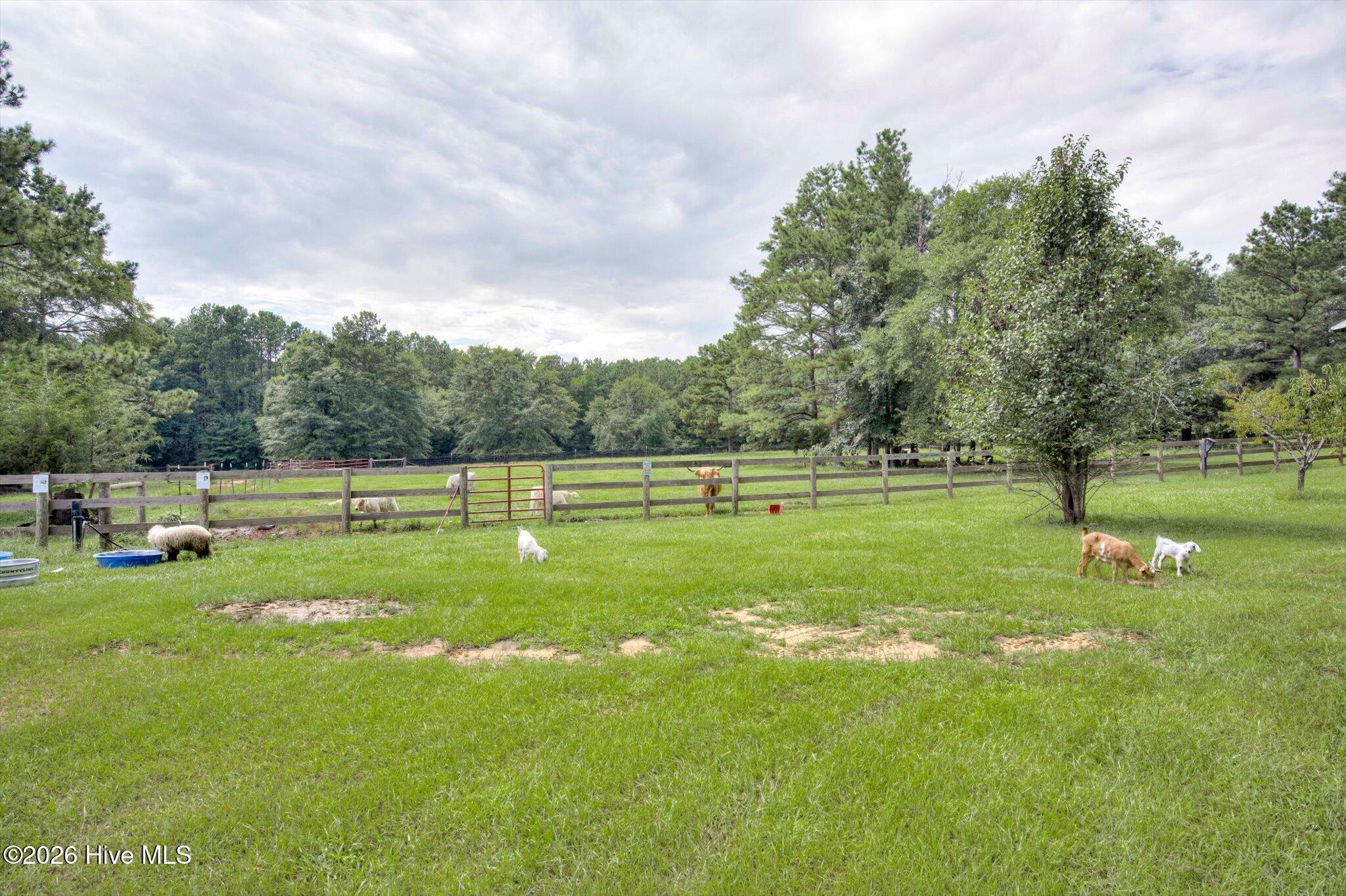 4579 Ridgecrest Drive Property Photo 10