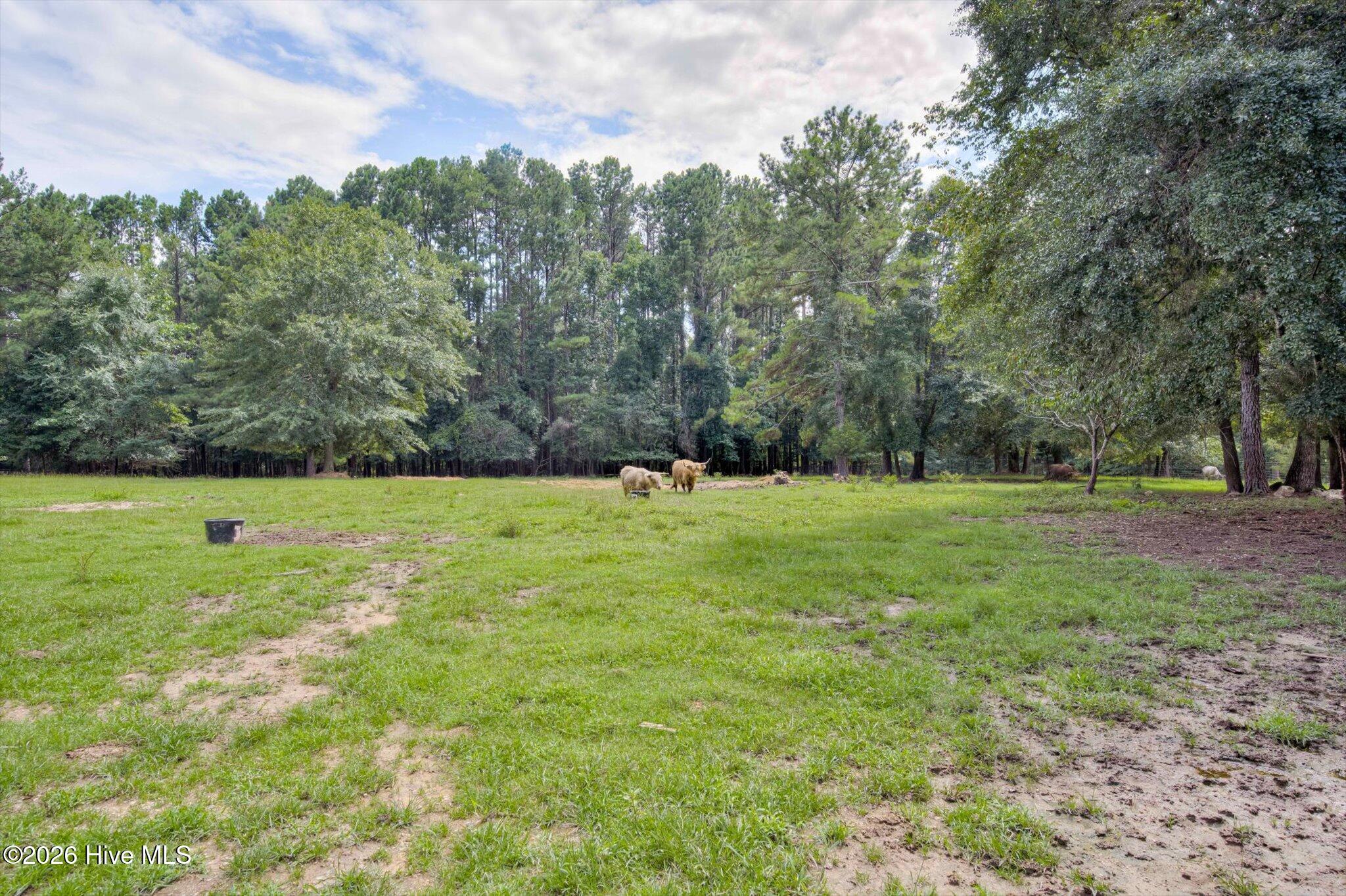 4579 Ridgecrest Drive Property Photo 26