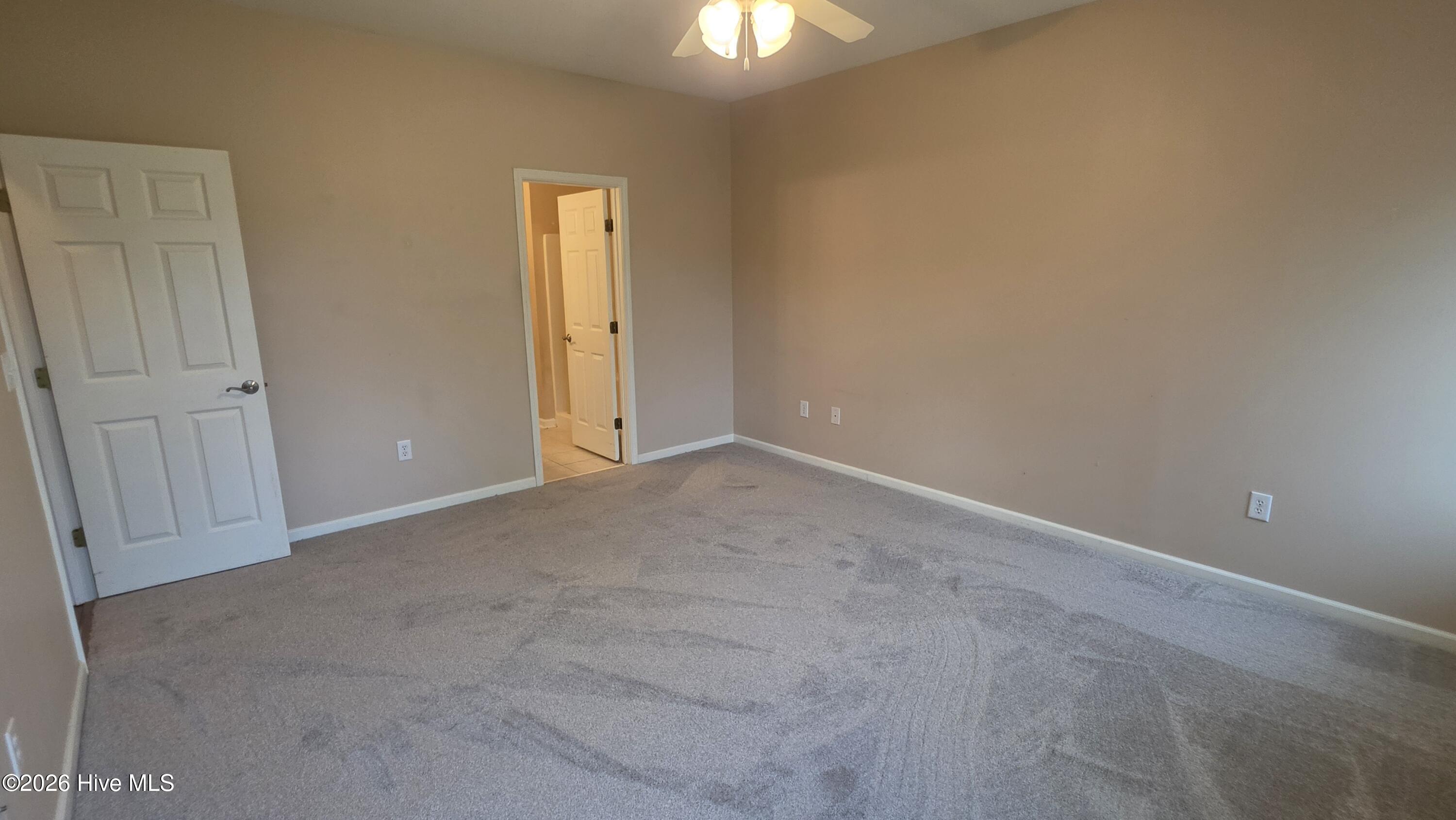 117 Palmetto Place Circle Property Photo 21