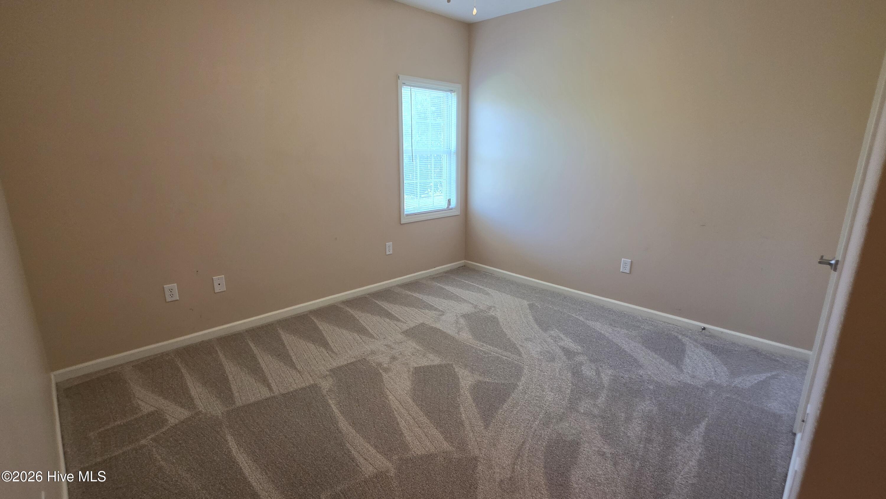 117 Palmetto Place Circle Property Photo 29