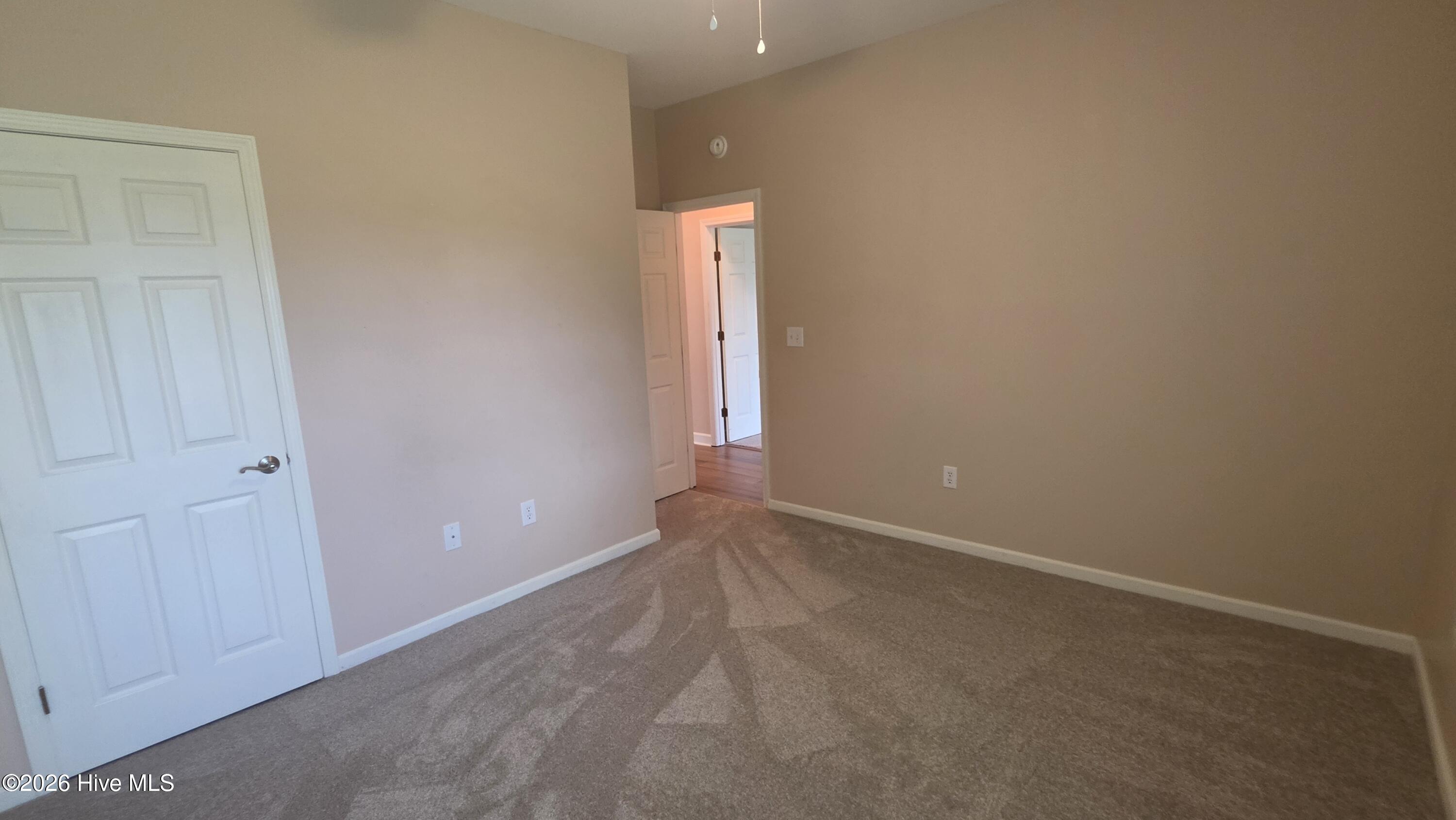 117 Palmetto Place Circle Property Photo 31