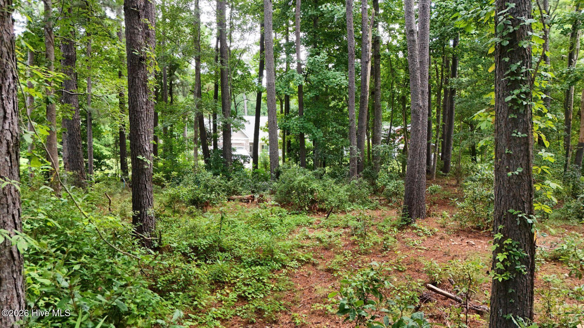 0 34 Property Photo 52