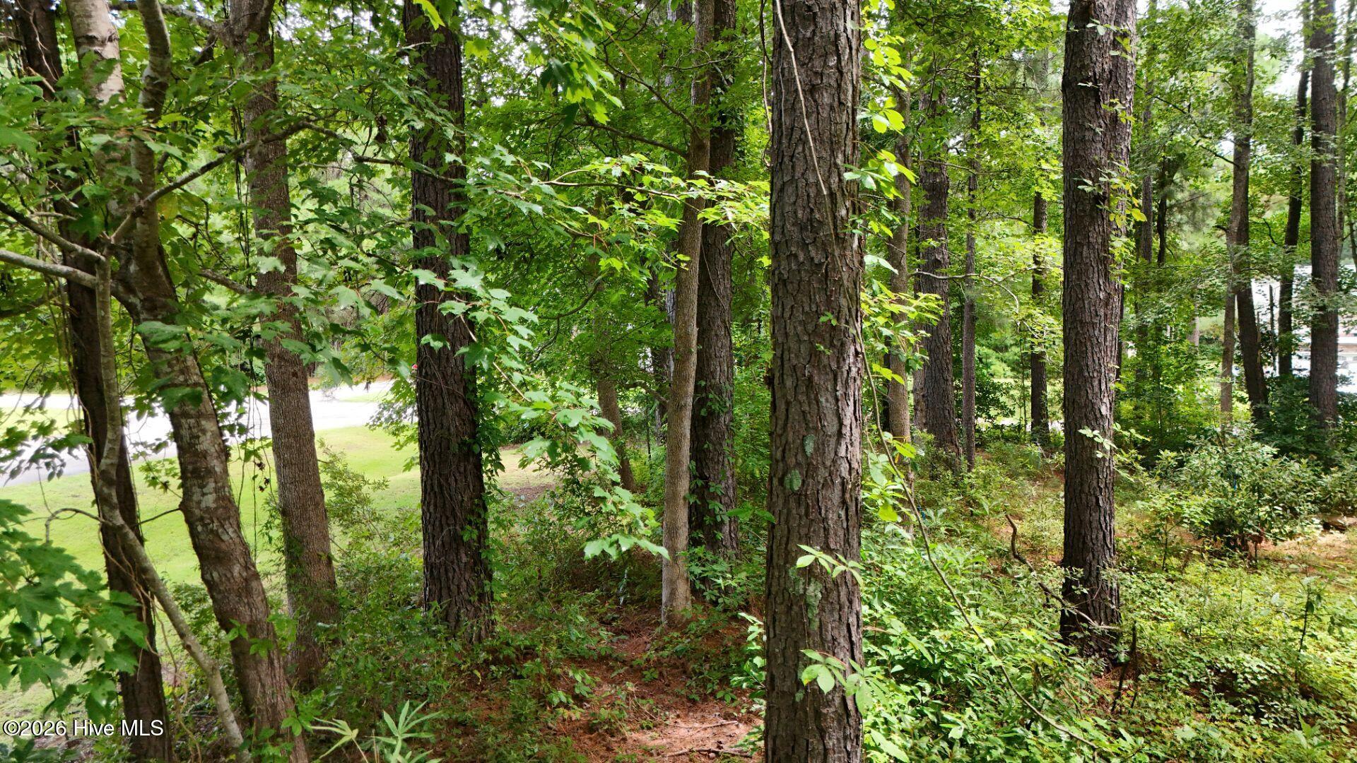 0 34 Property Photo 54