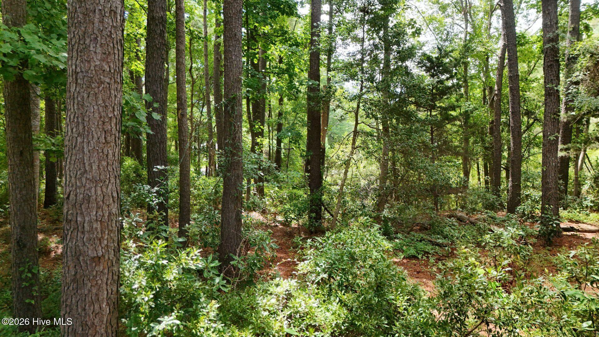 0 34 Property Photo 58