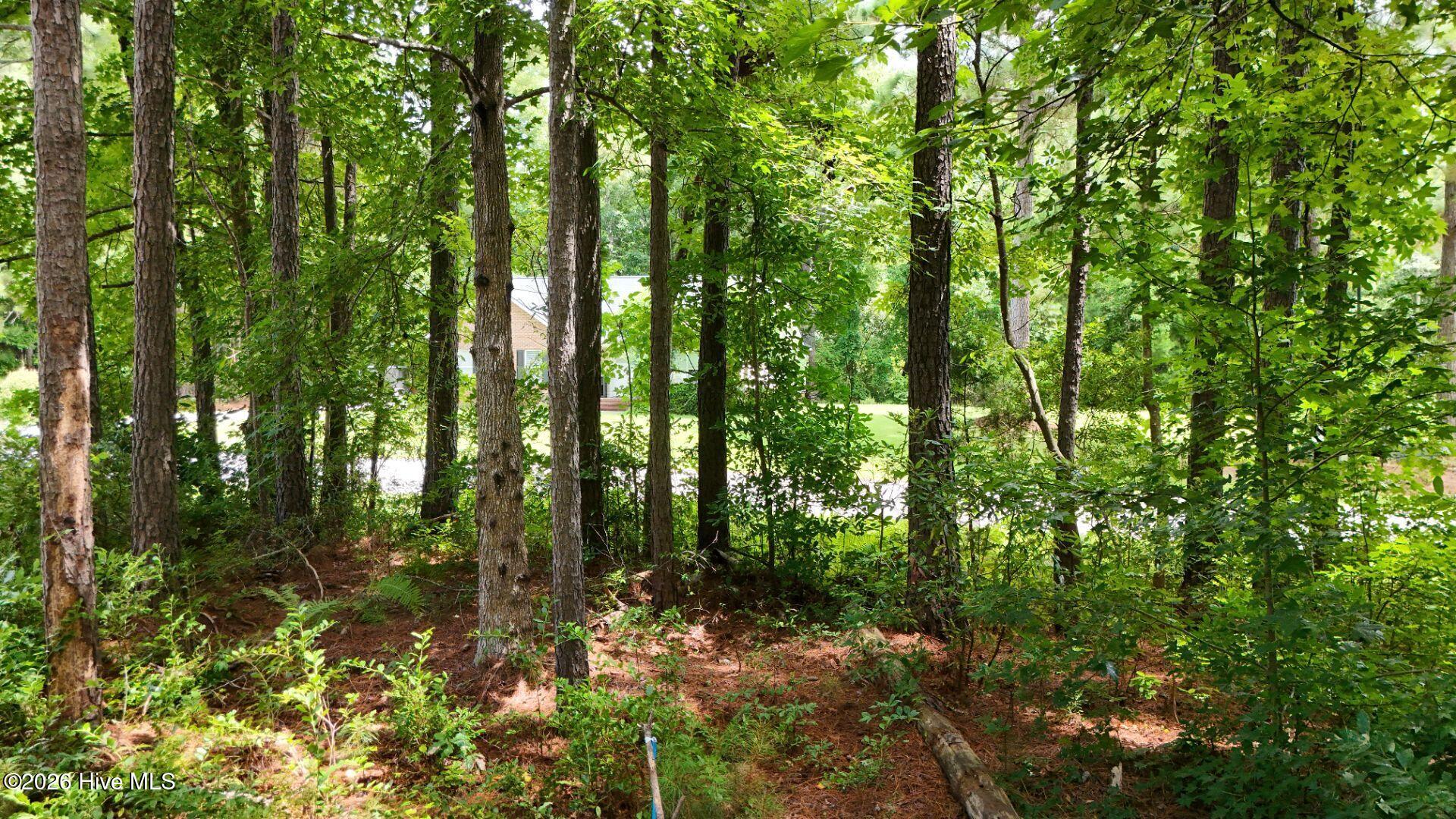 0 34 Property Photo 61