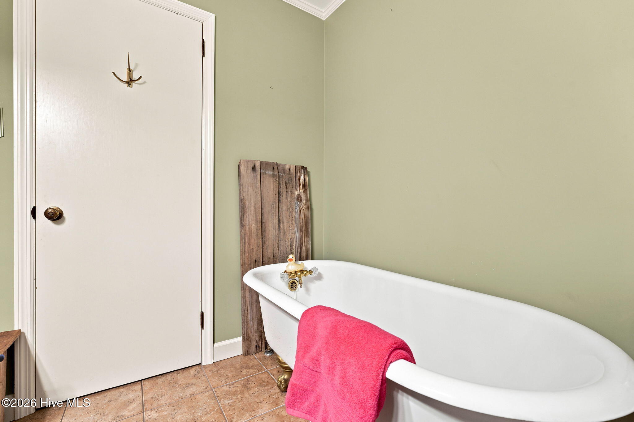 580 Lamms Road Property Photo 17