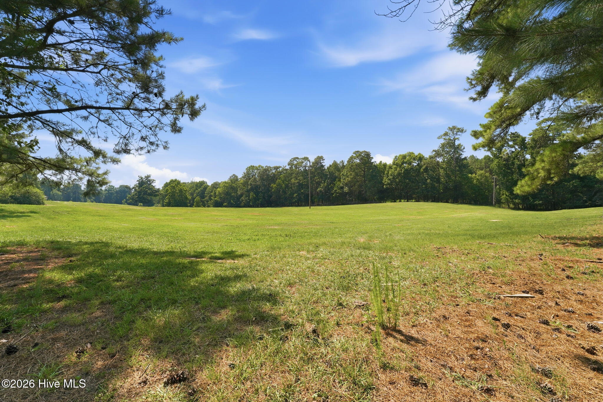 580 Lamms Road Property Photo 46