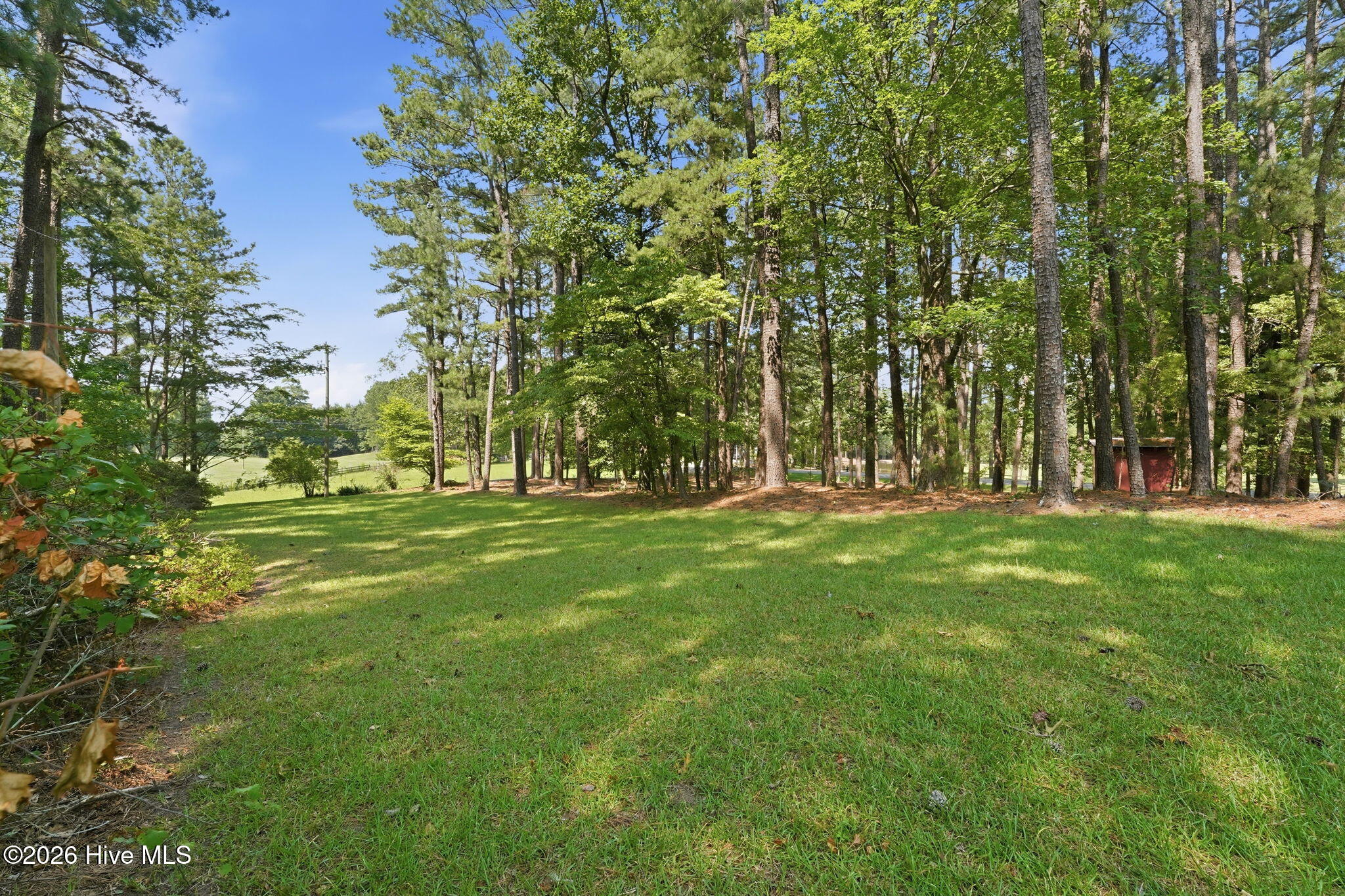 580 Lamms Road Property Photo 50