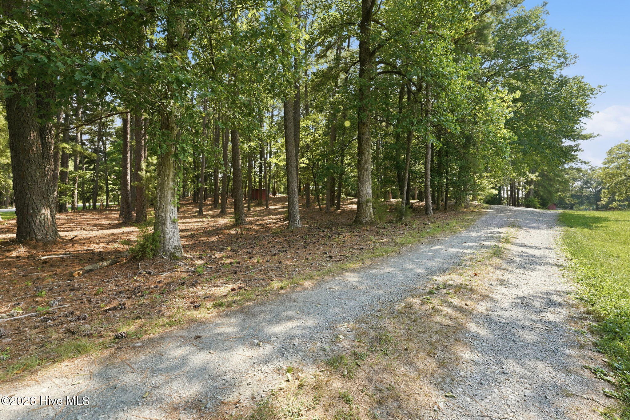 580 Lamms Road Property Photo 55