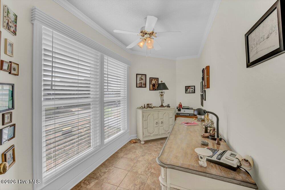 203 Norton Street Property Photo 23