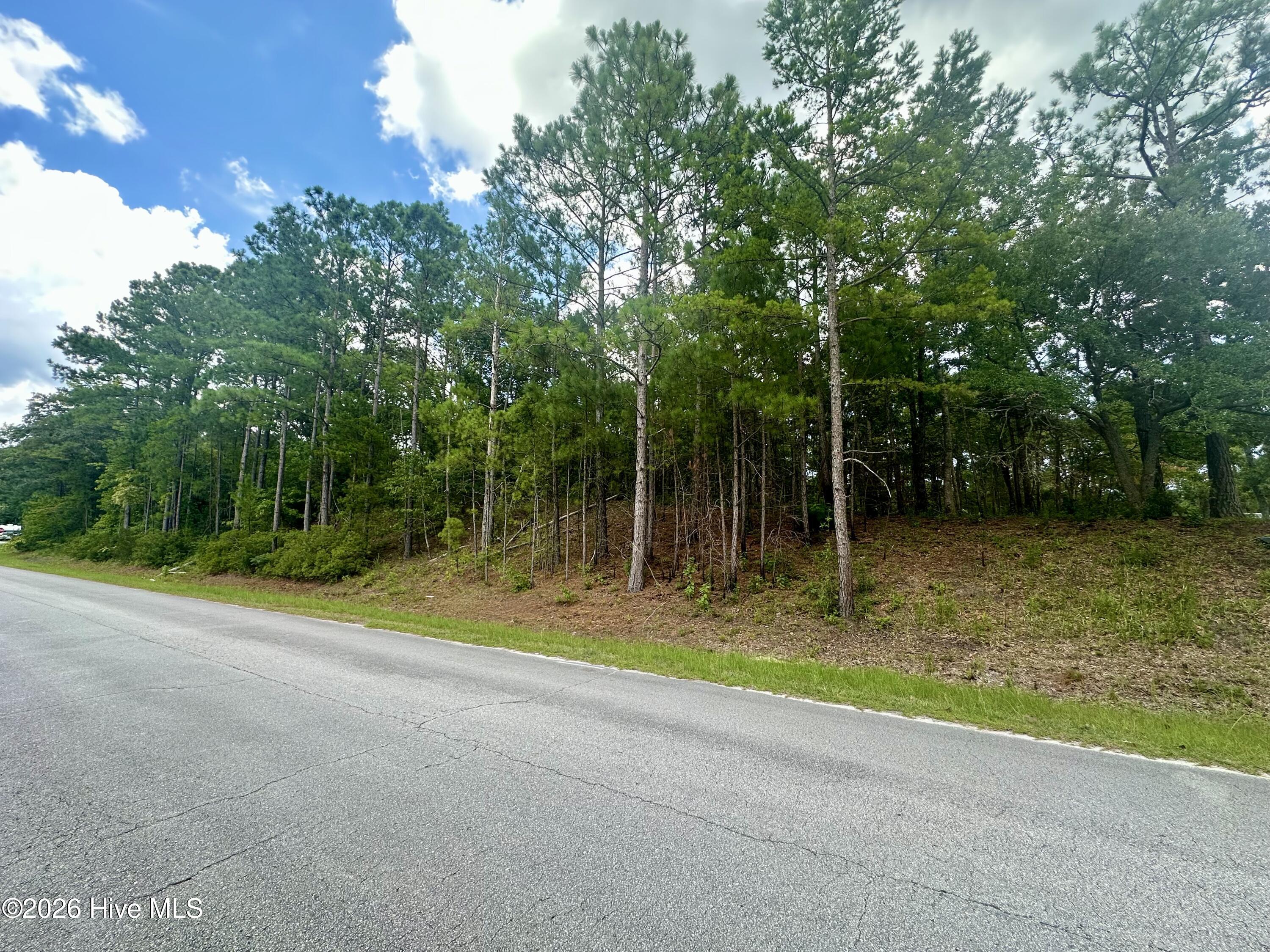 Tbd Wetherington Landing Road Property Photo 1