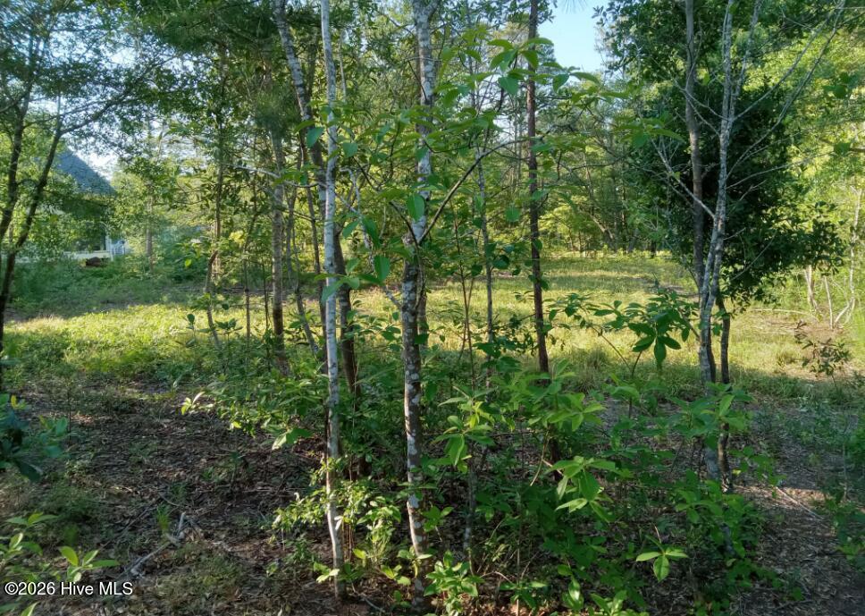 164 Chicora Court Property Photo 7