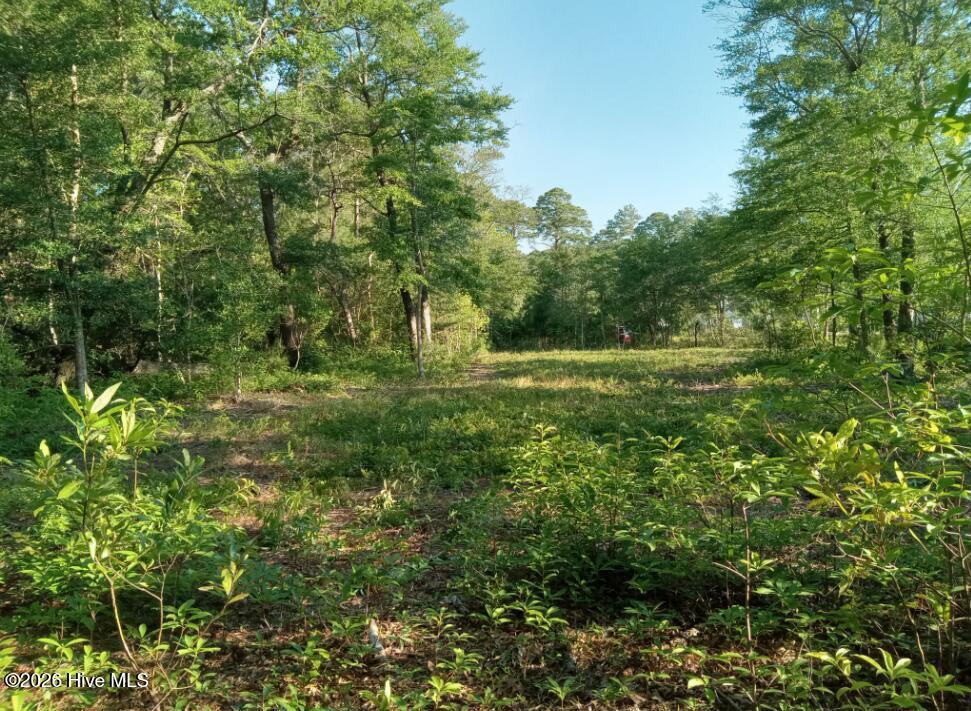 164 Chicora Court Property Photo 10