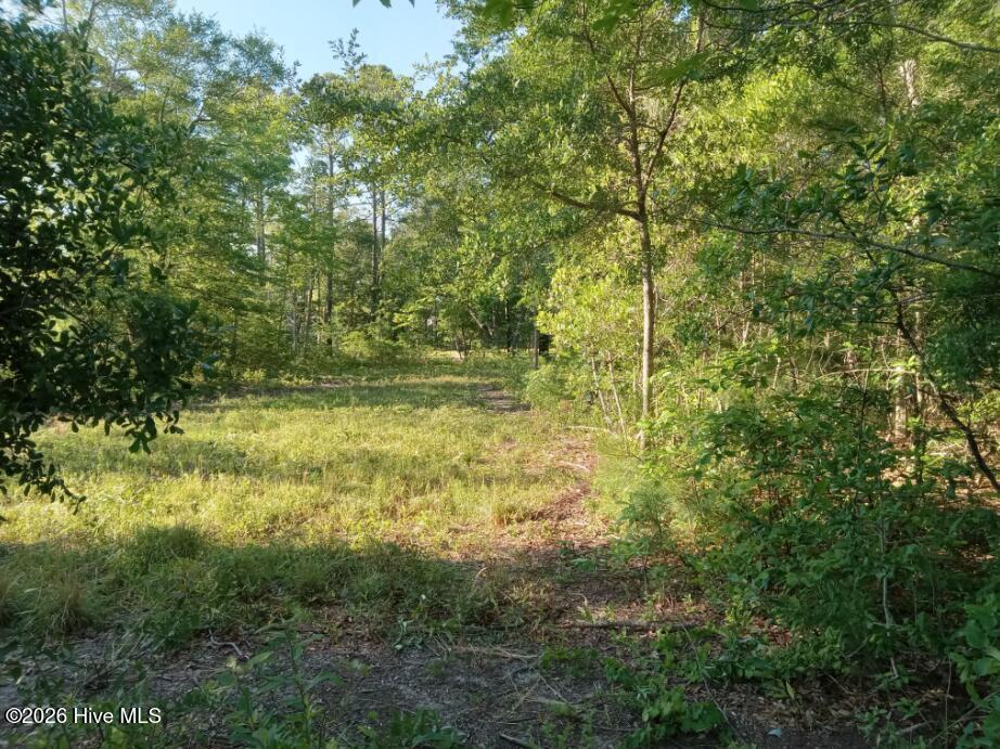 164 Chicora Court Property Photo 11