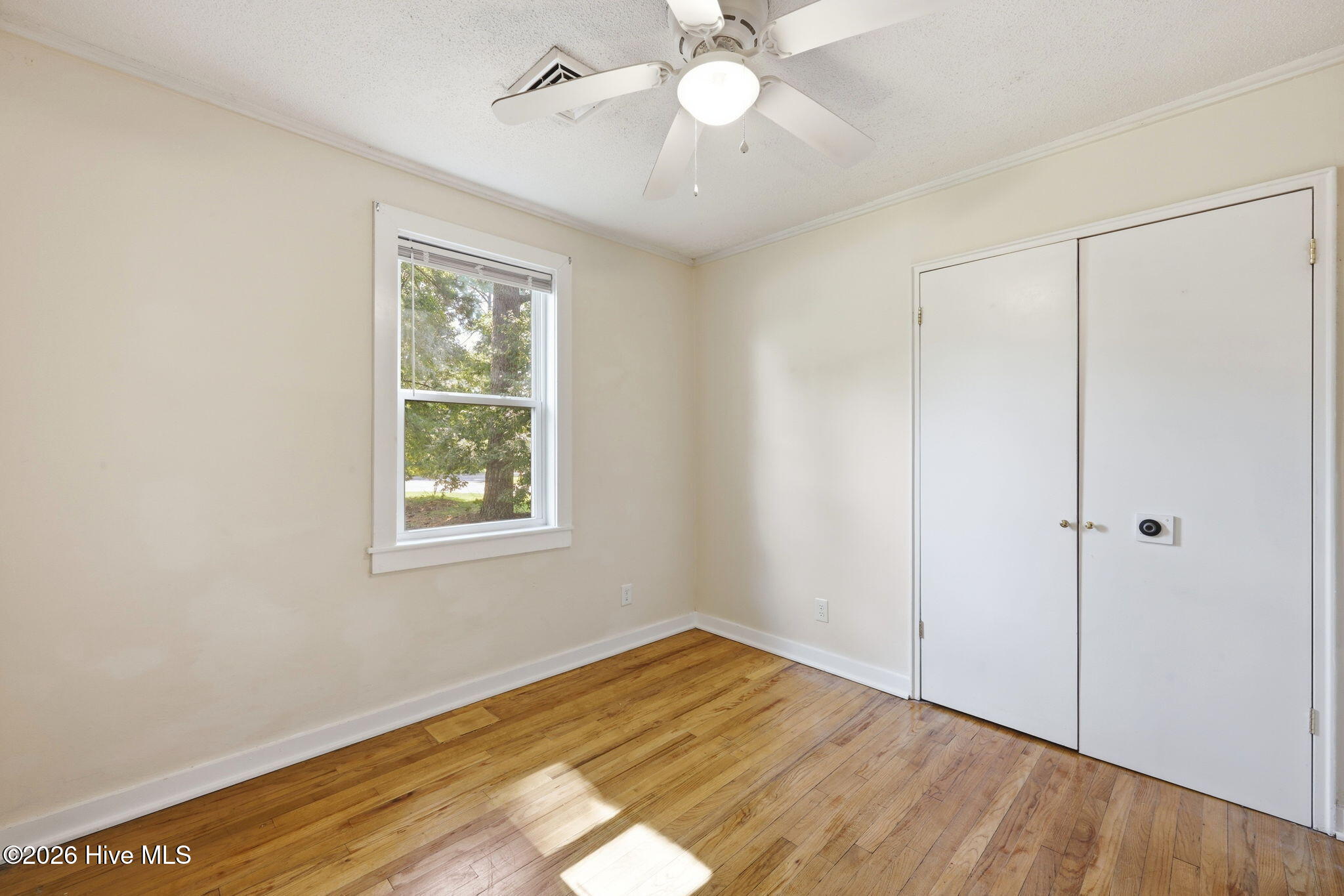1101 Meadows Street Property Photo 20