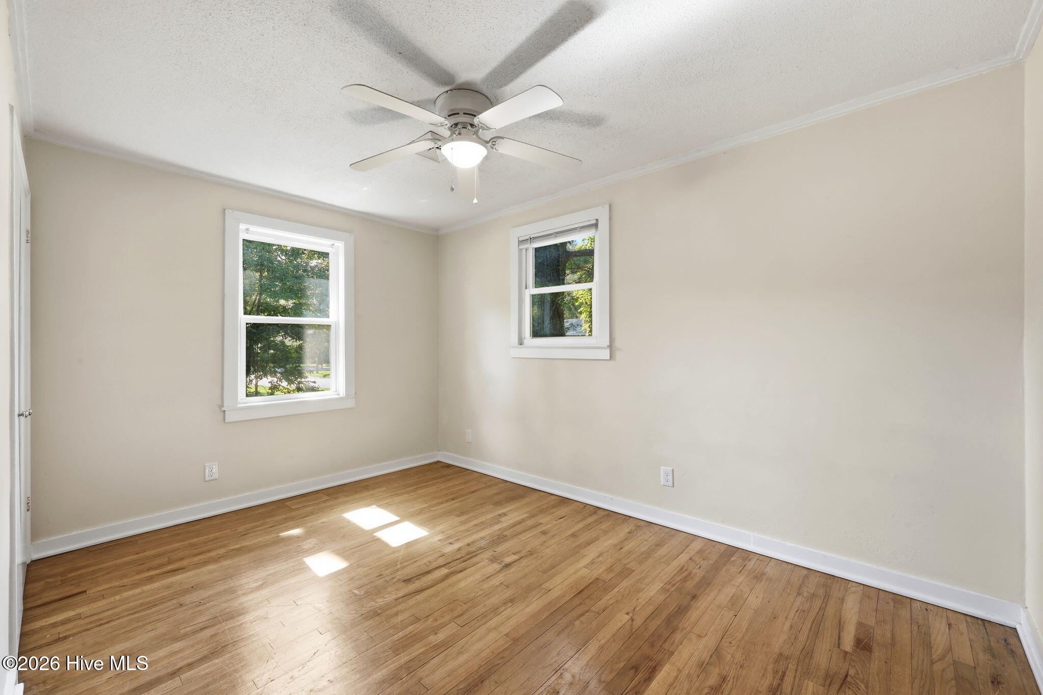 1101 Meadows Street Property Photo 23