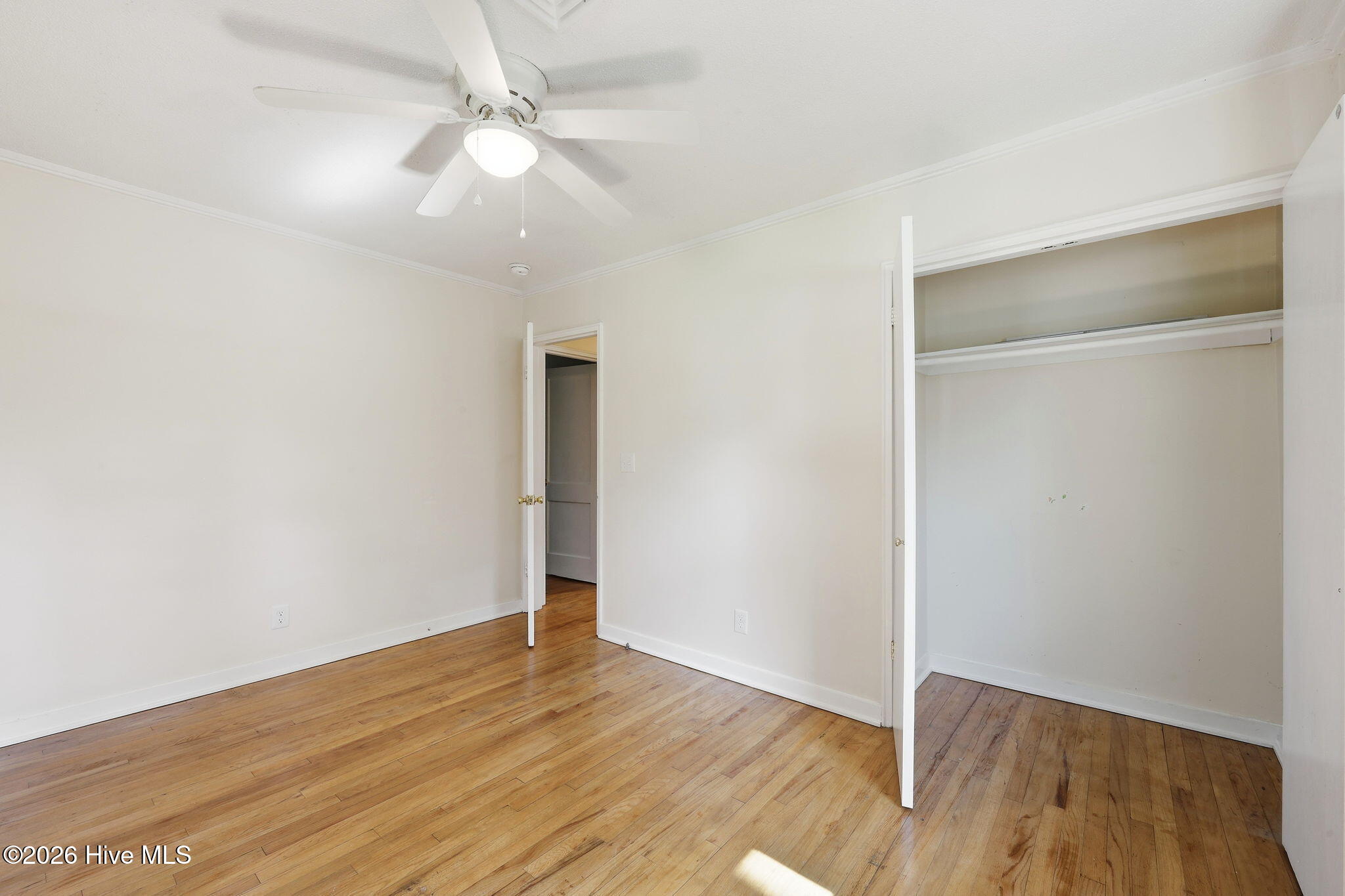 1101 Meadows Street Property Photo 25
