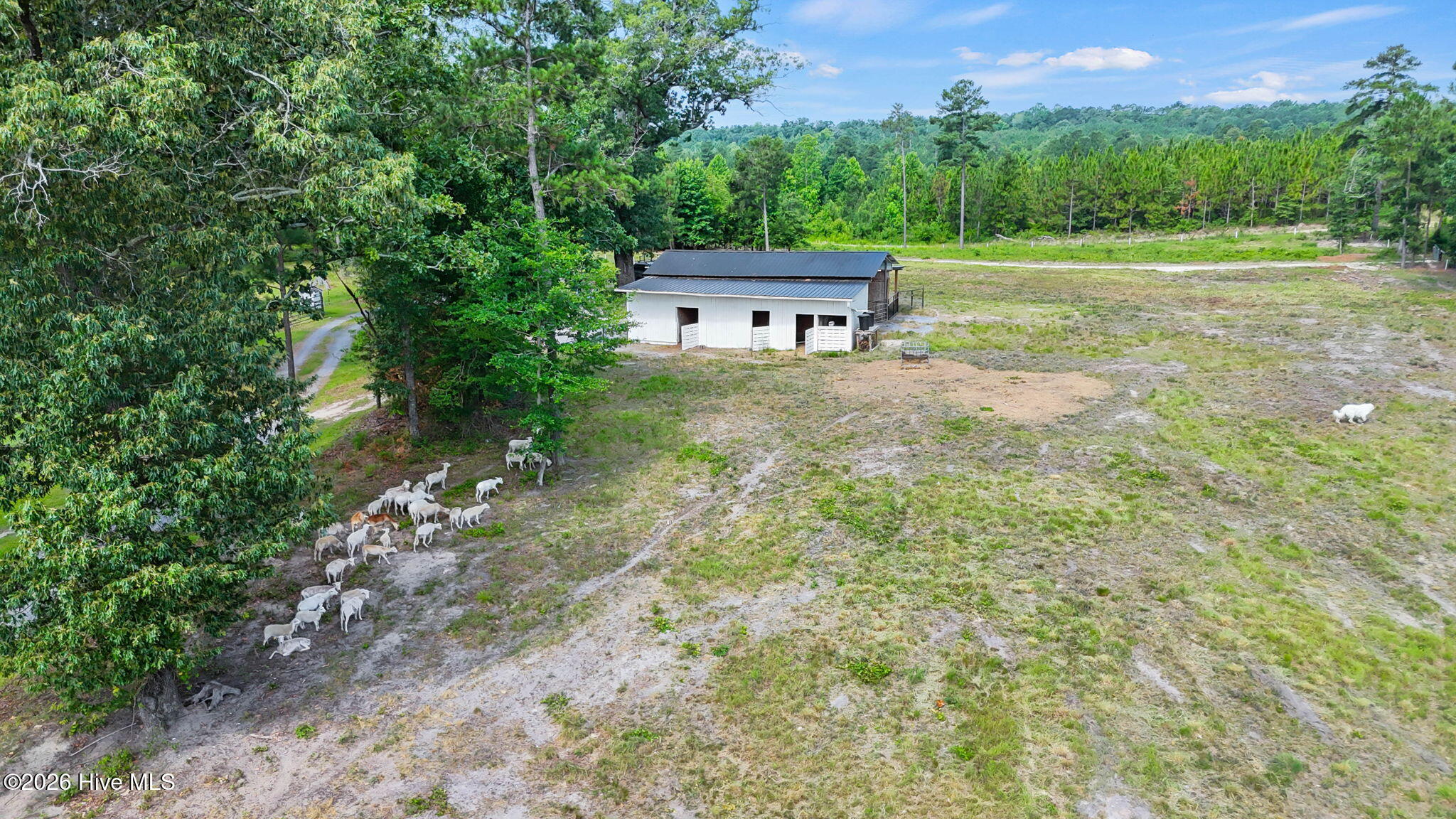 322 Shady Lane Property Photo 51