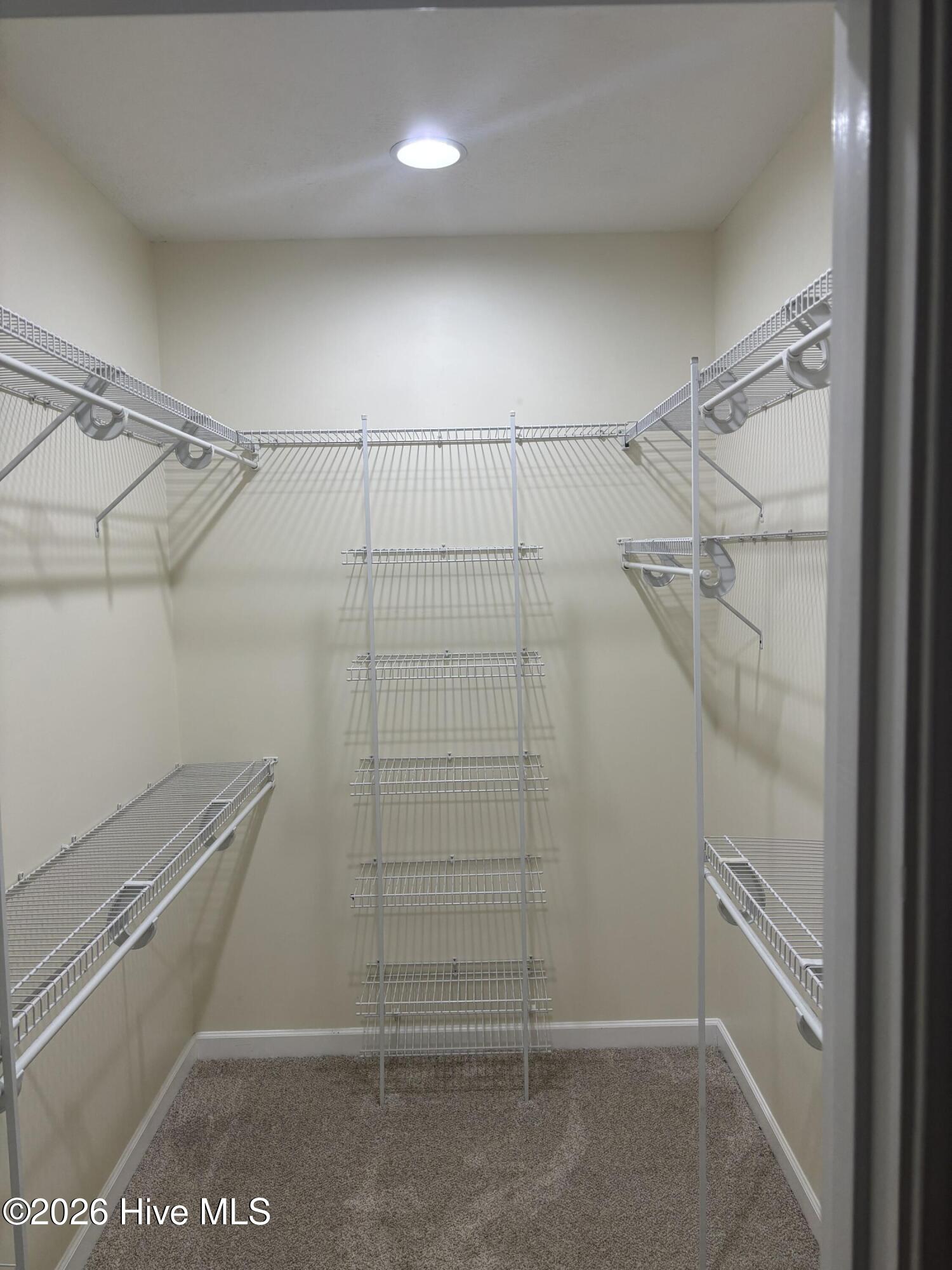 1817 Caracara Drive Property Photo 20