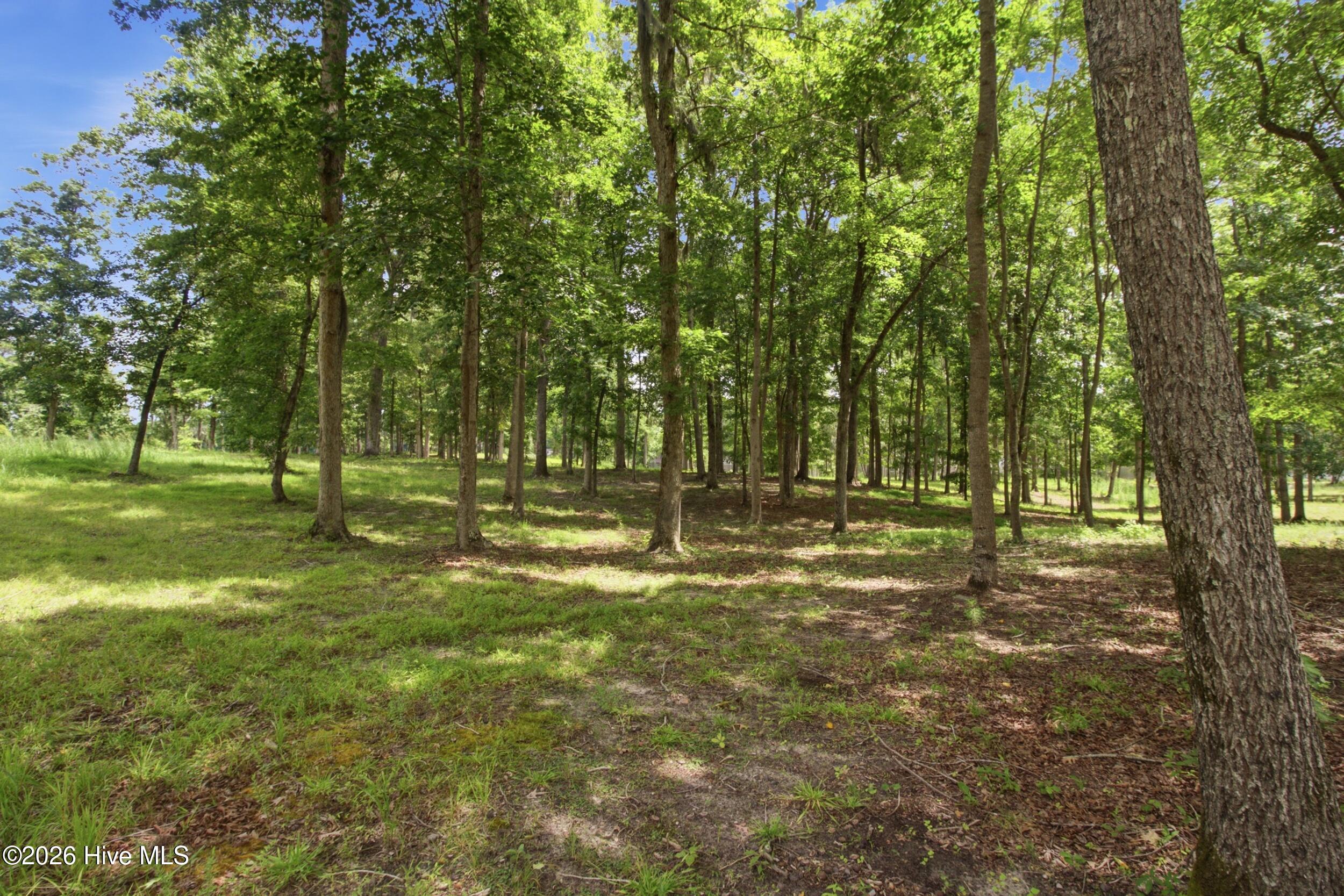 4725 Creeks Junction Road Property Photo 63