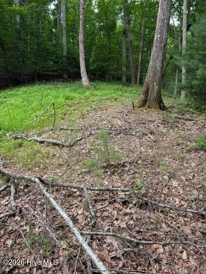 190 Valley Crest Drive Property Photo 6