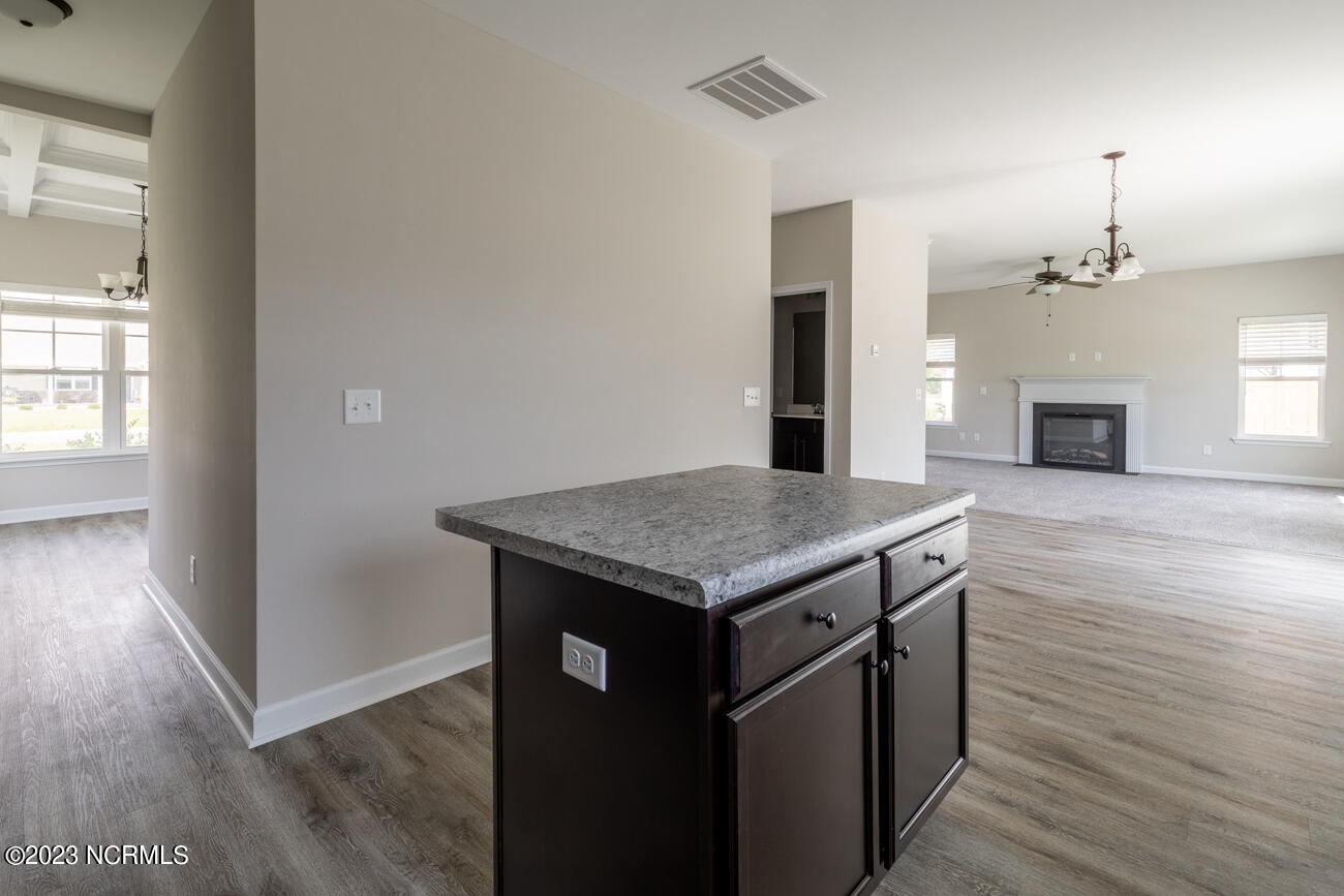 300 Waylon Way Property Photo 10
