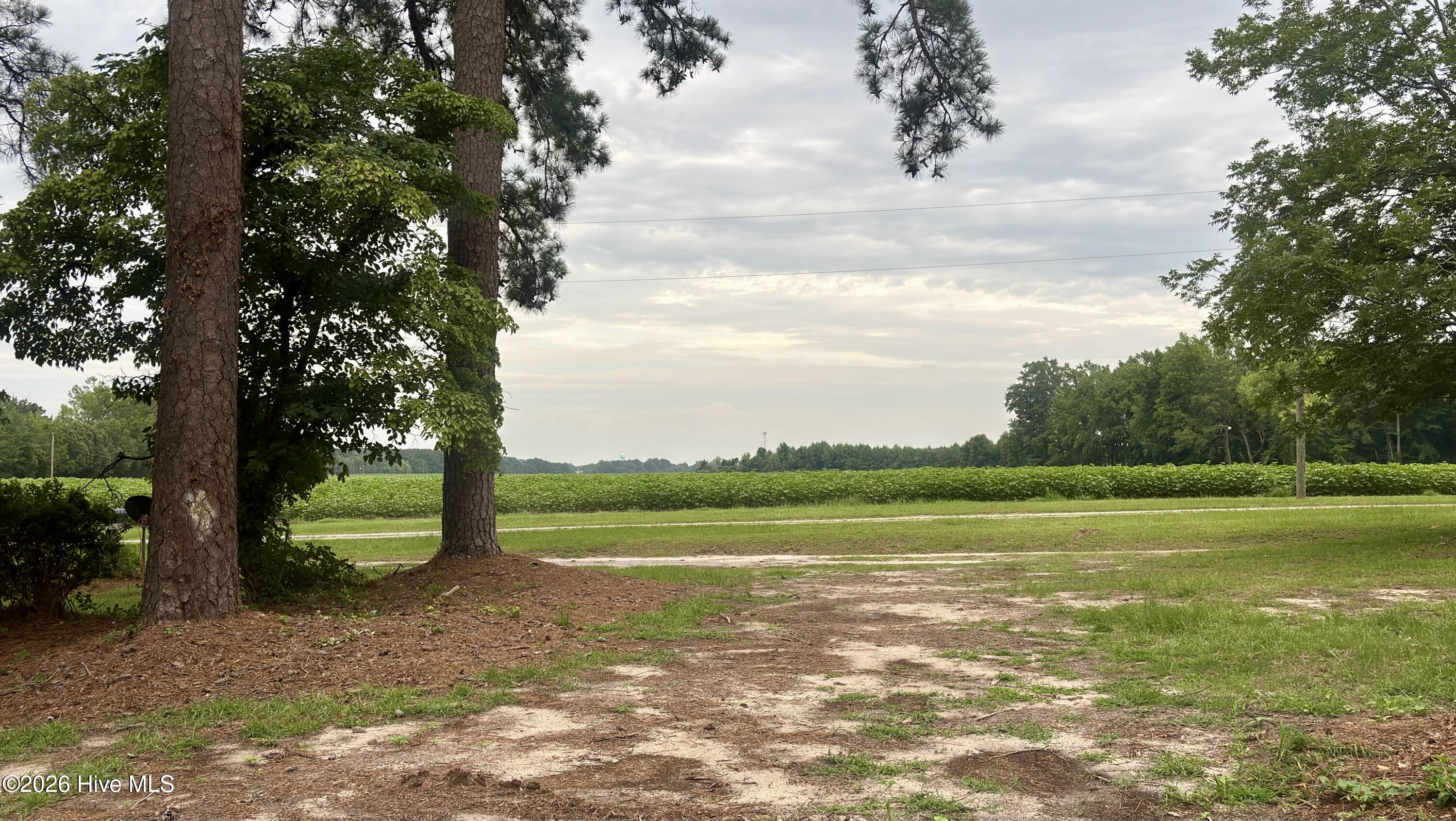247 Vaughans Creek Road Property Photo 43