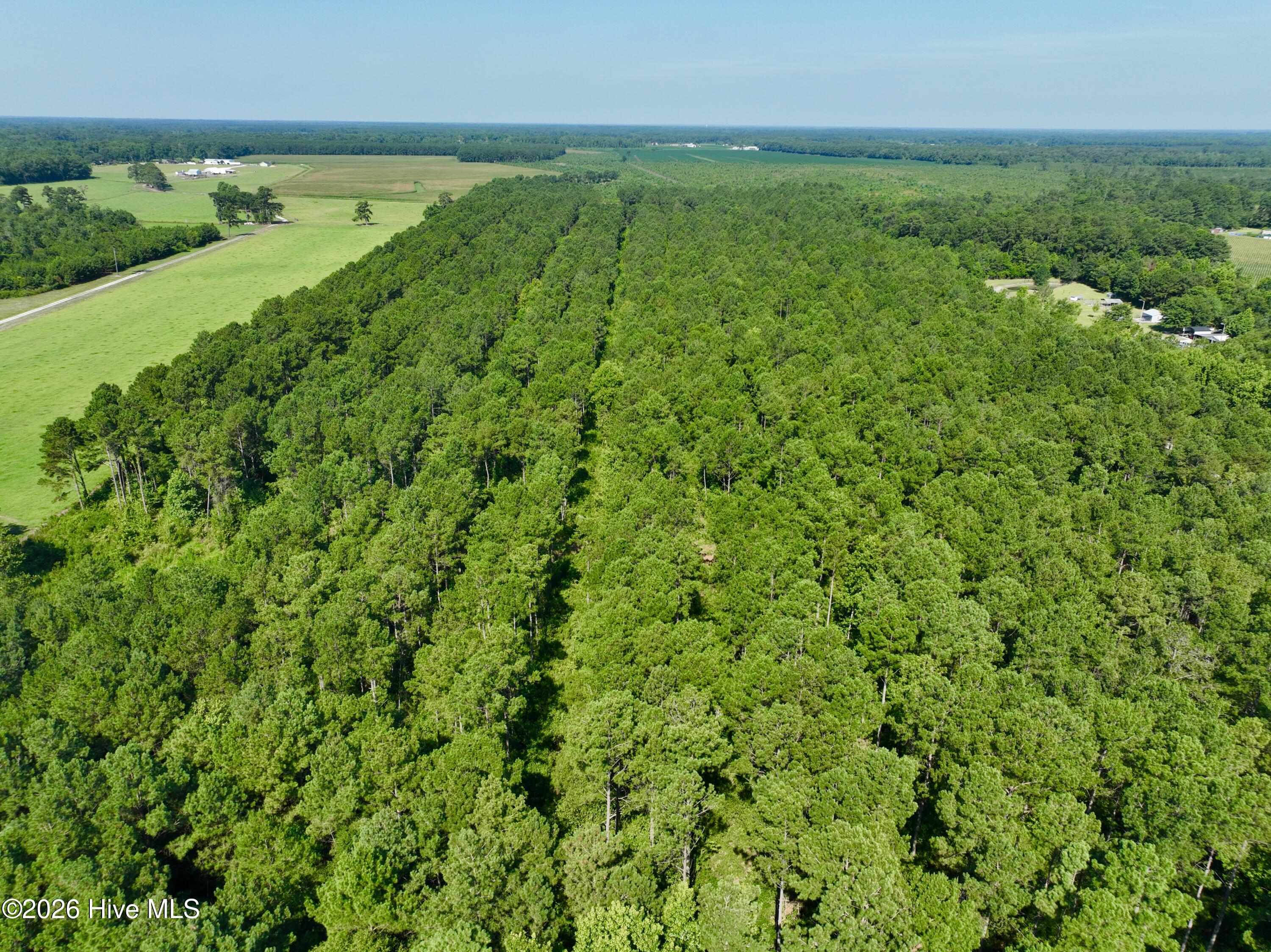 0 Cedar Fork Road Property Photo 4