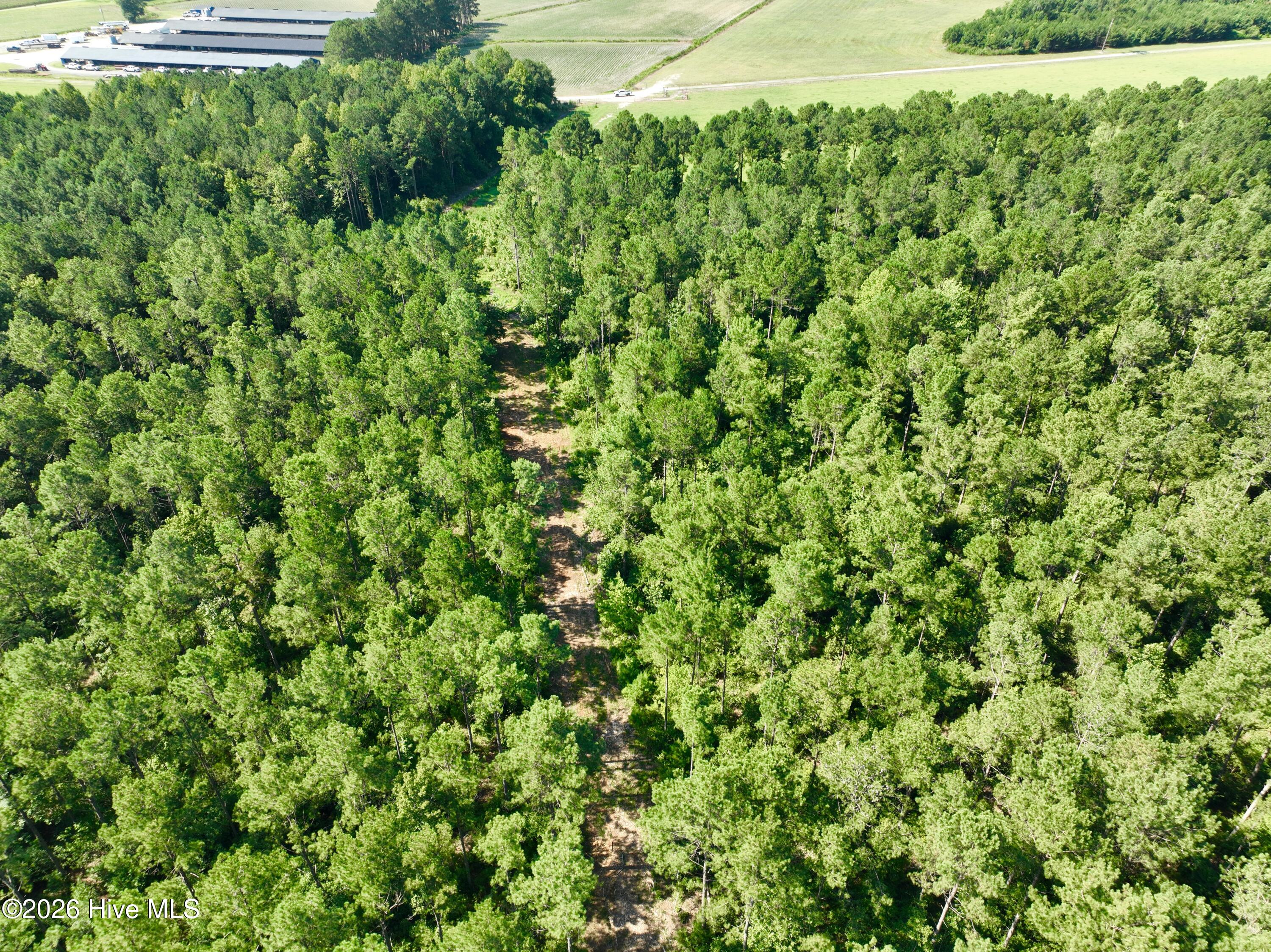 0 Cedar Fork Road Property Photo 6