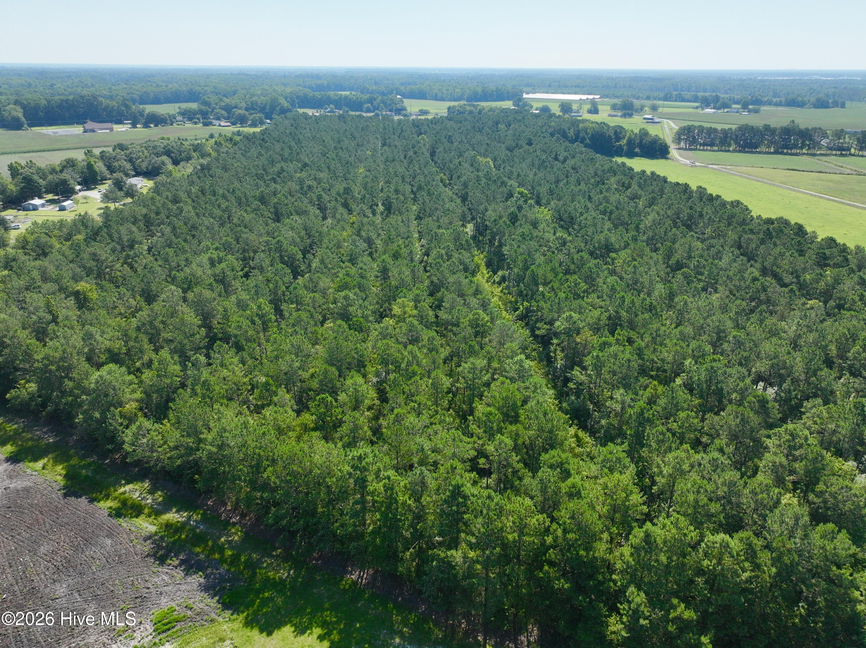 0 Cedar Fork Road Property Photo 8