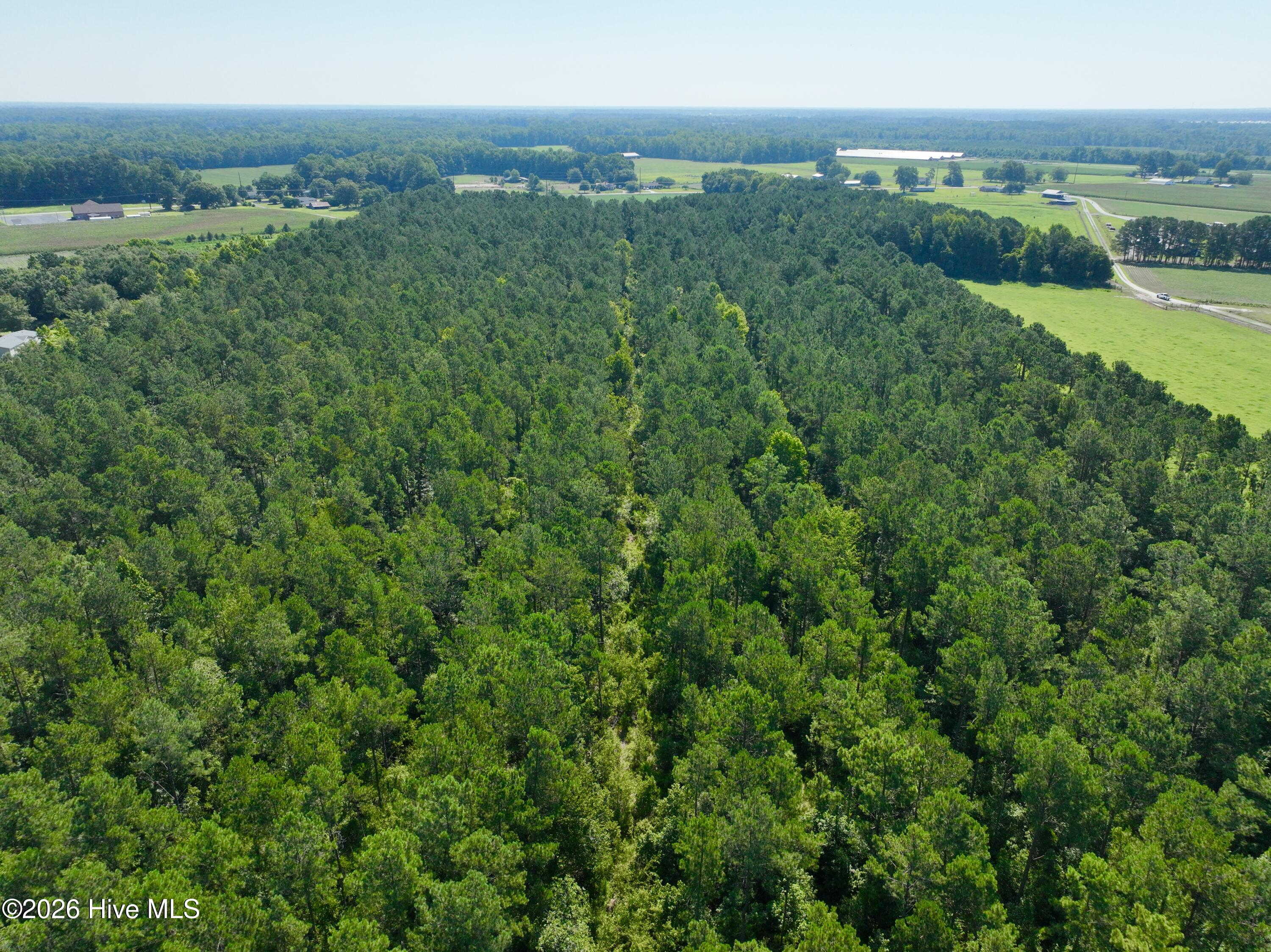 0 Cedar Fork Road Property Photo 9