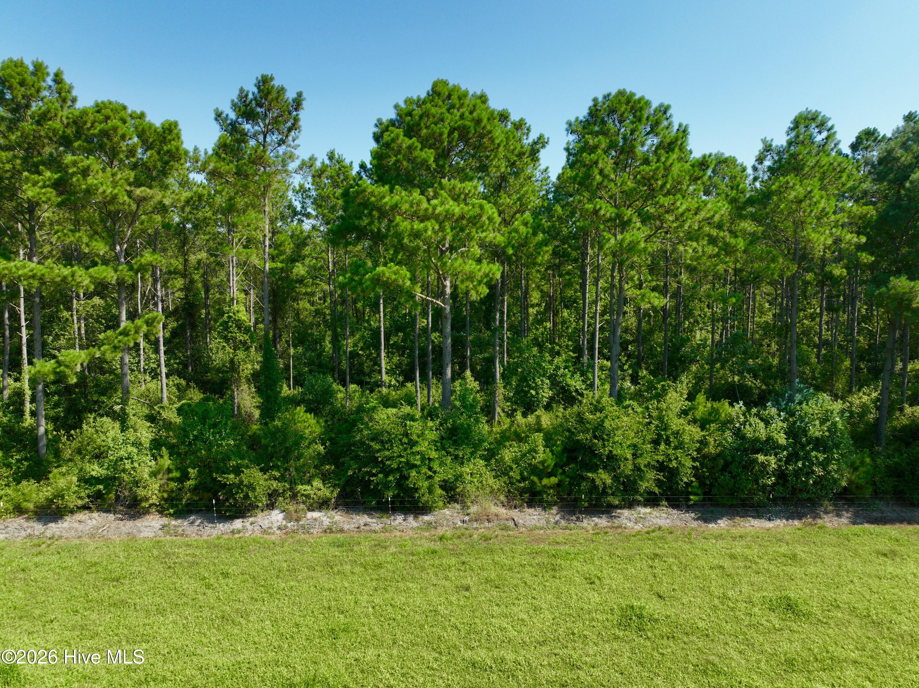 0 Cedar Fork Road Property Photo 10