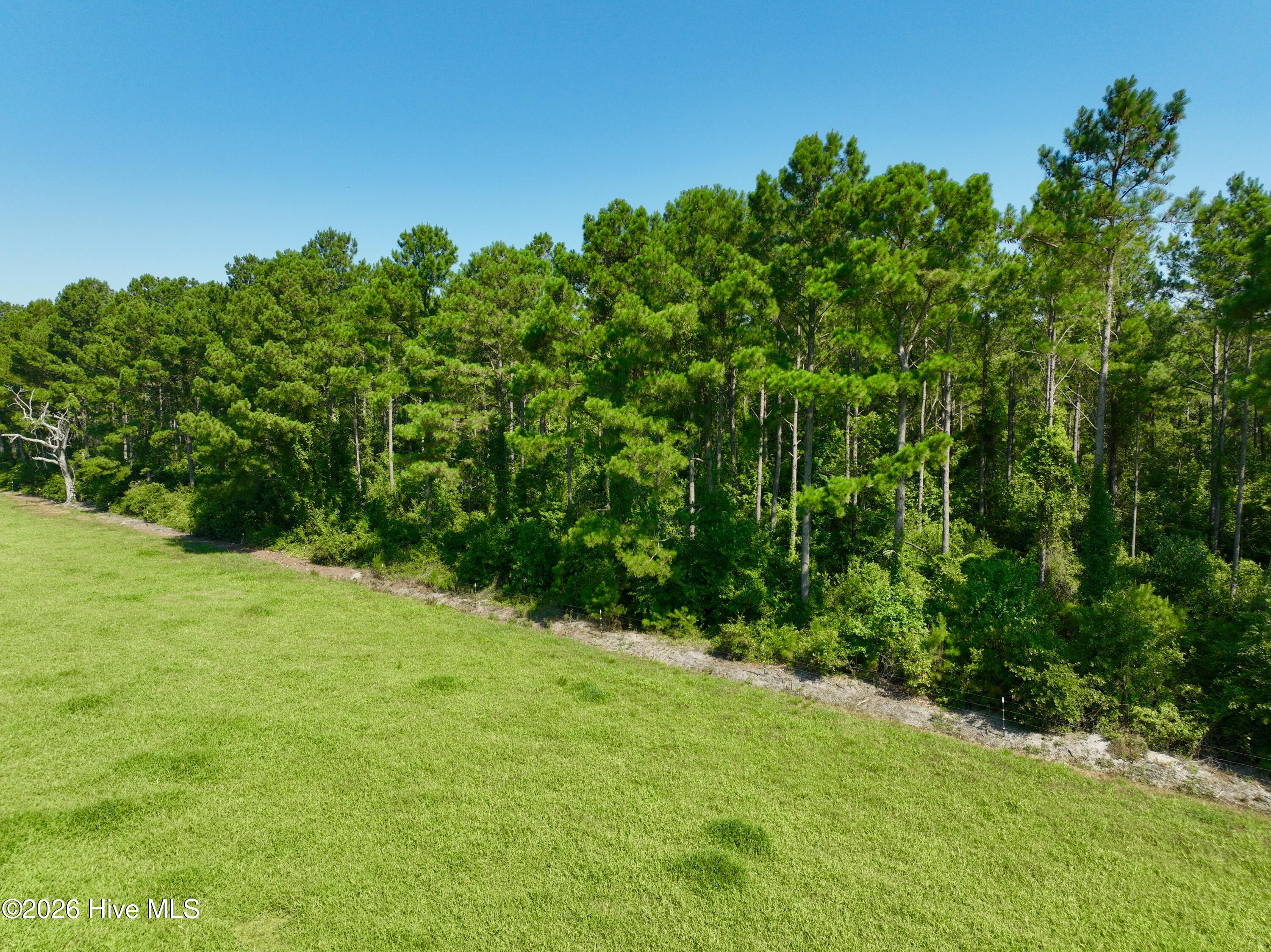 0 Cedar Fork Road Property Photo 11