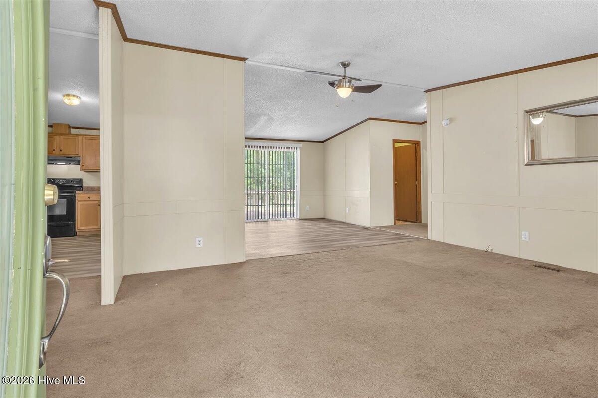 170 Loop Road Property Photo 68