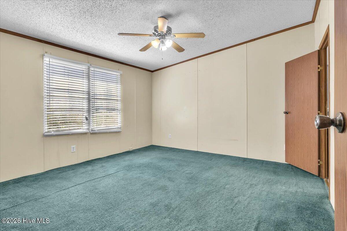 170 Loop Road Property Photo 87