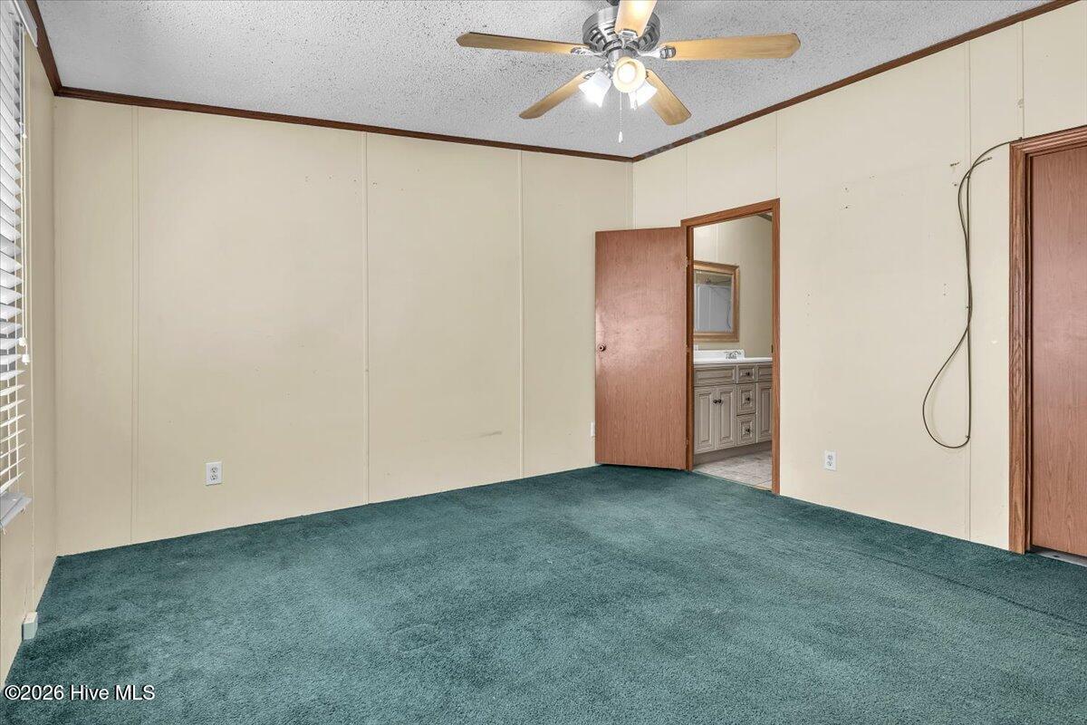170 Loop Road Property Photo 90