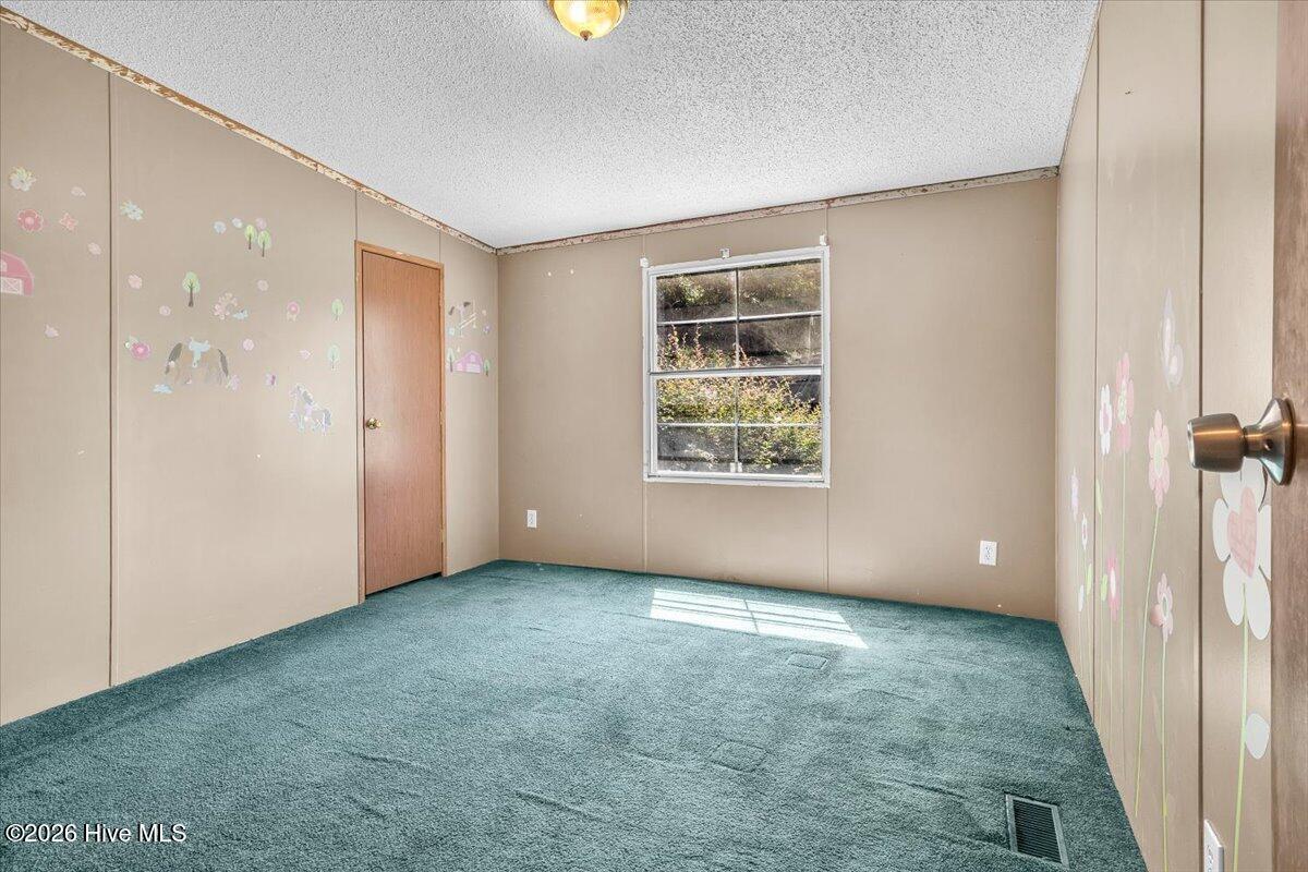 170 Loop Road Property Photo 95