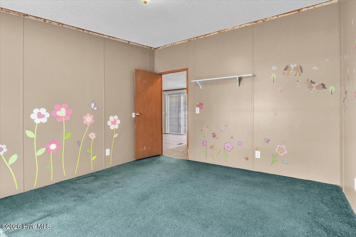 170 Loop Road Property Photo 96