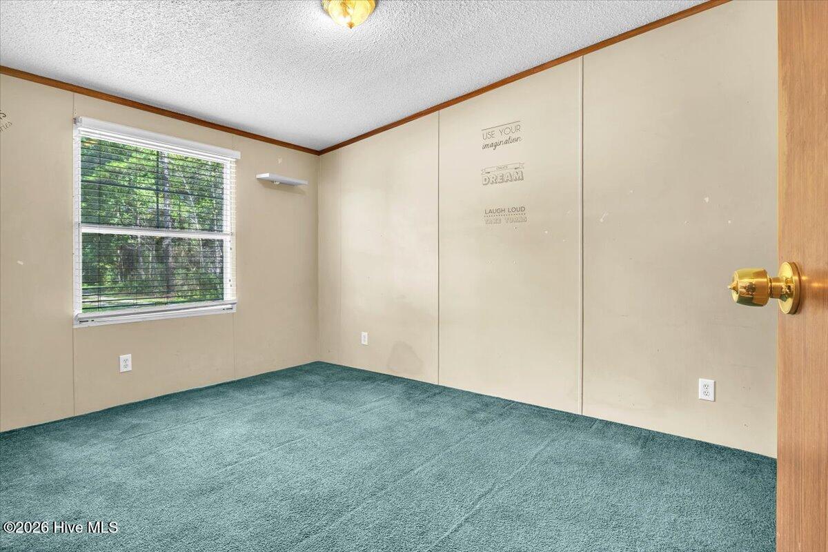 170 Loop Road Property Photo 97