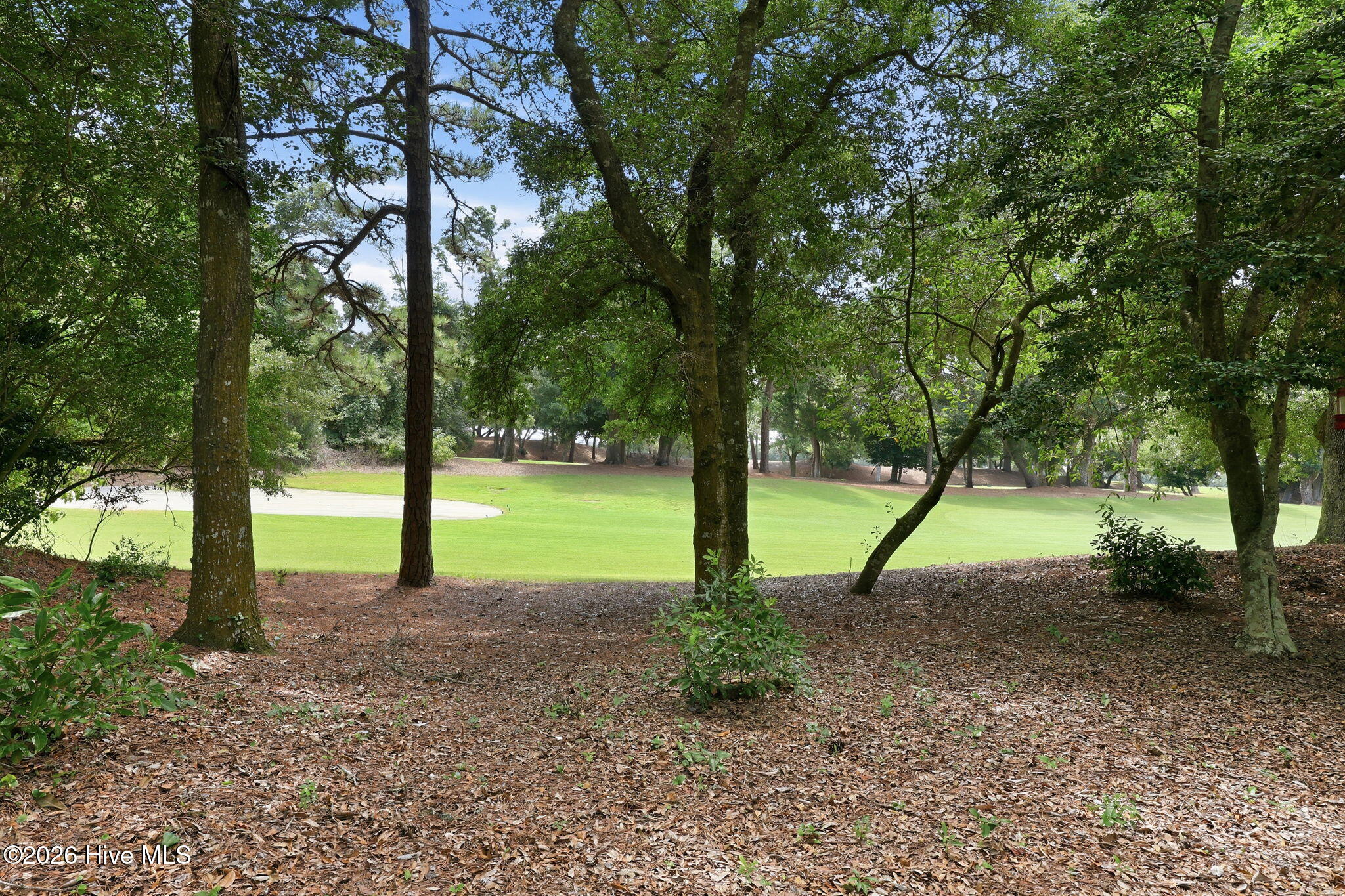 131 Oakleaf Drive Property Photo 32